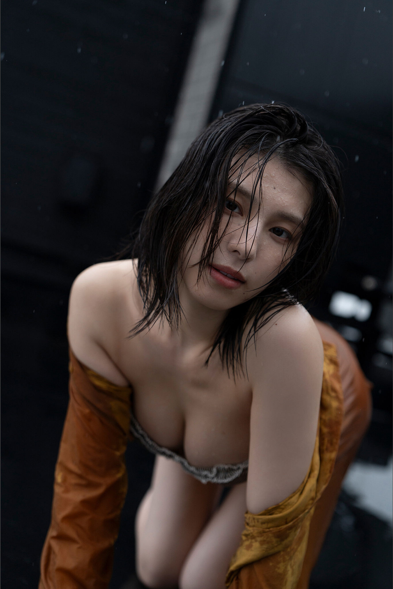 相楽伊織 - 彼女は美バスト/(85P)