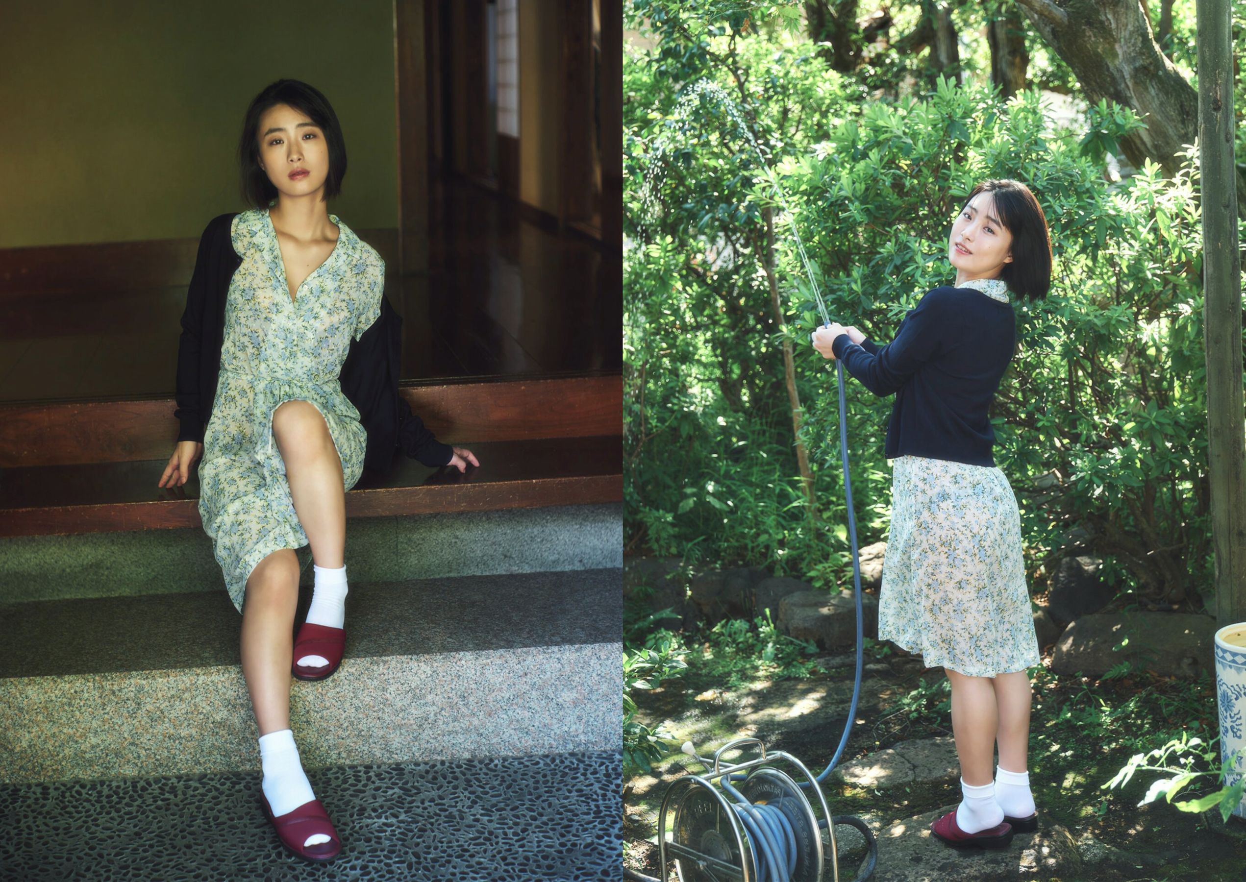 高砂ミドリ - pure deep/(24P)