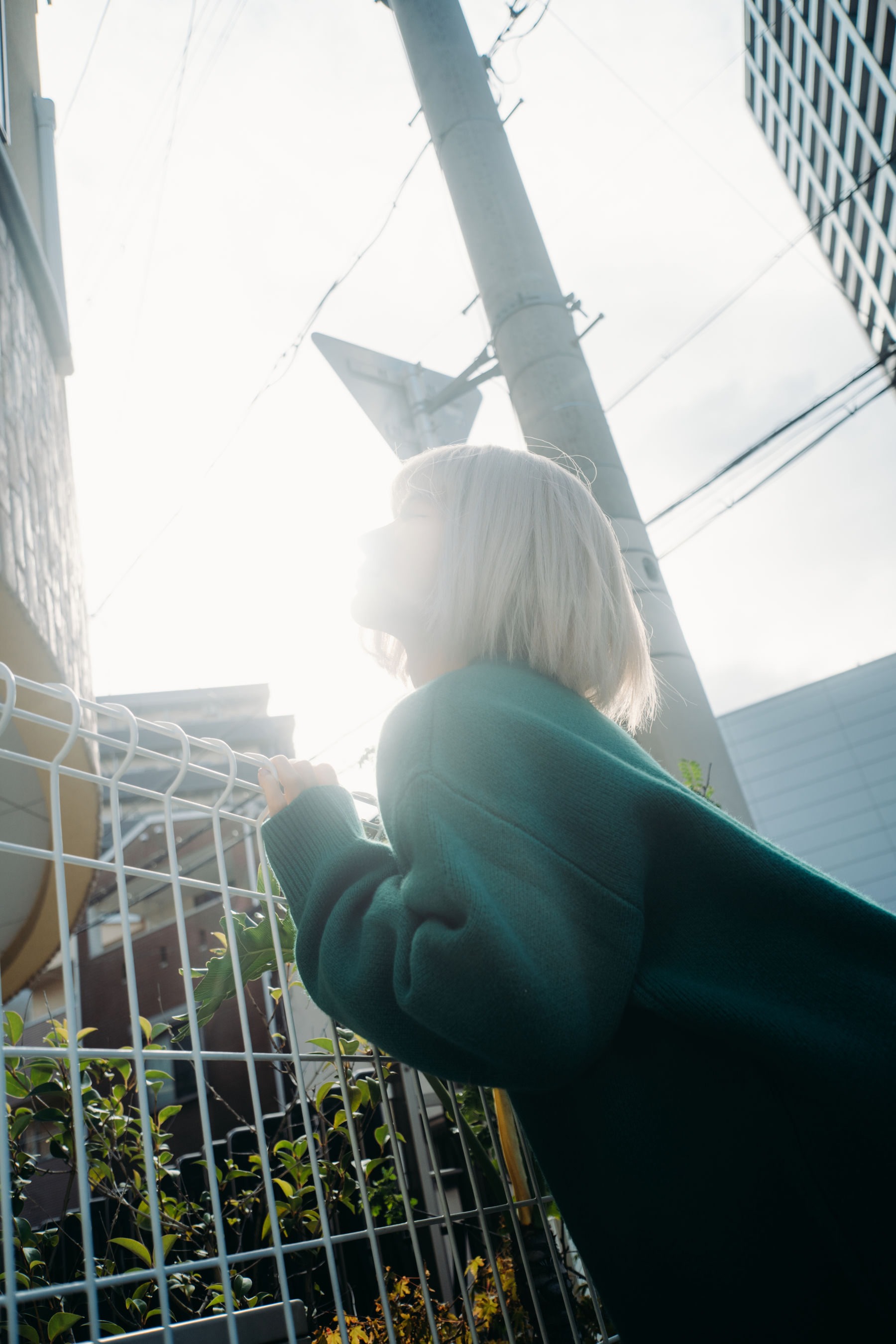 动漫博主蠢沫沫 - 秋寻(上）/(280P)