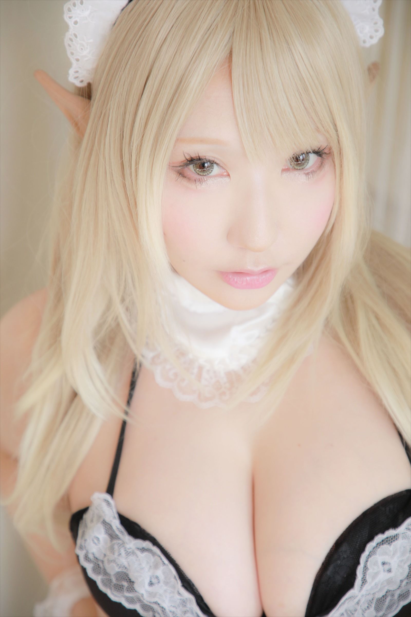 [Cosplay] [Shooting Star's (SAKU サク)] - Cute Elf Costume/(250P)