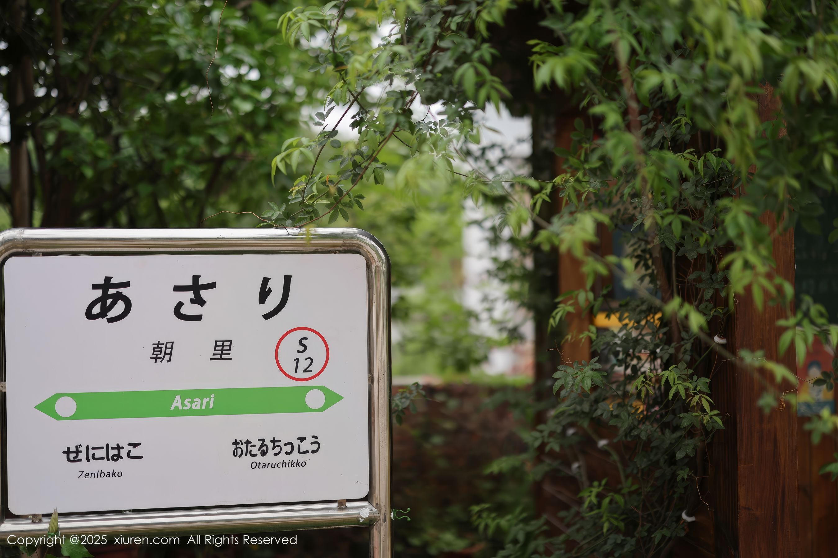 [秀人XiuRen] 2025.04.29 No.10215 茂木希子/(82P)