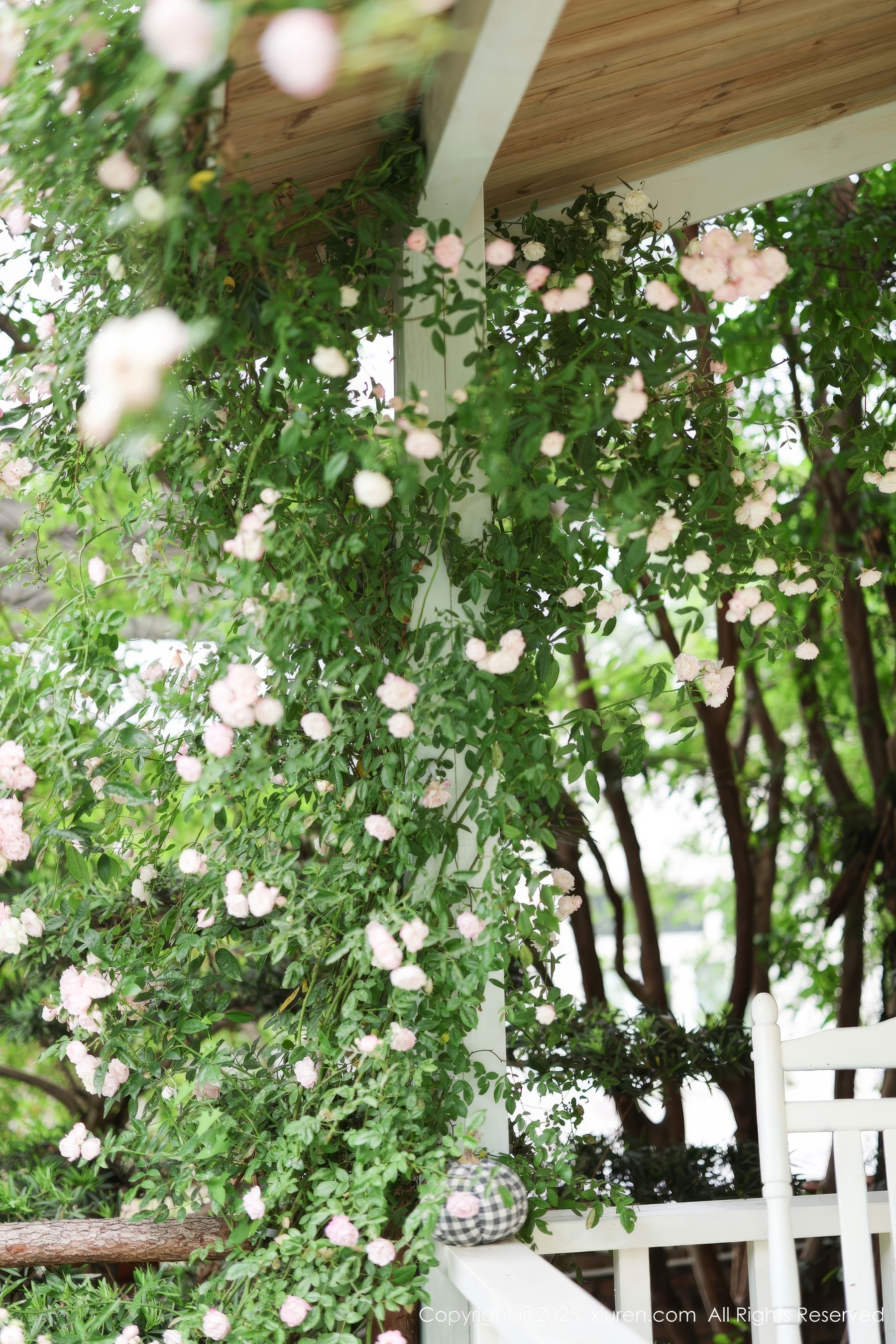 [秀人XiuRen] 2025.04.29 No.10215 茂木希子/(82P)