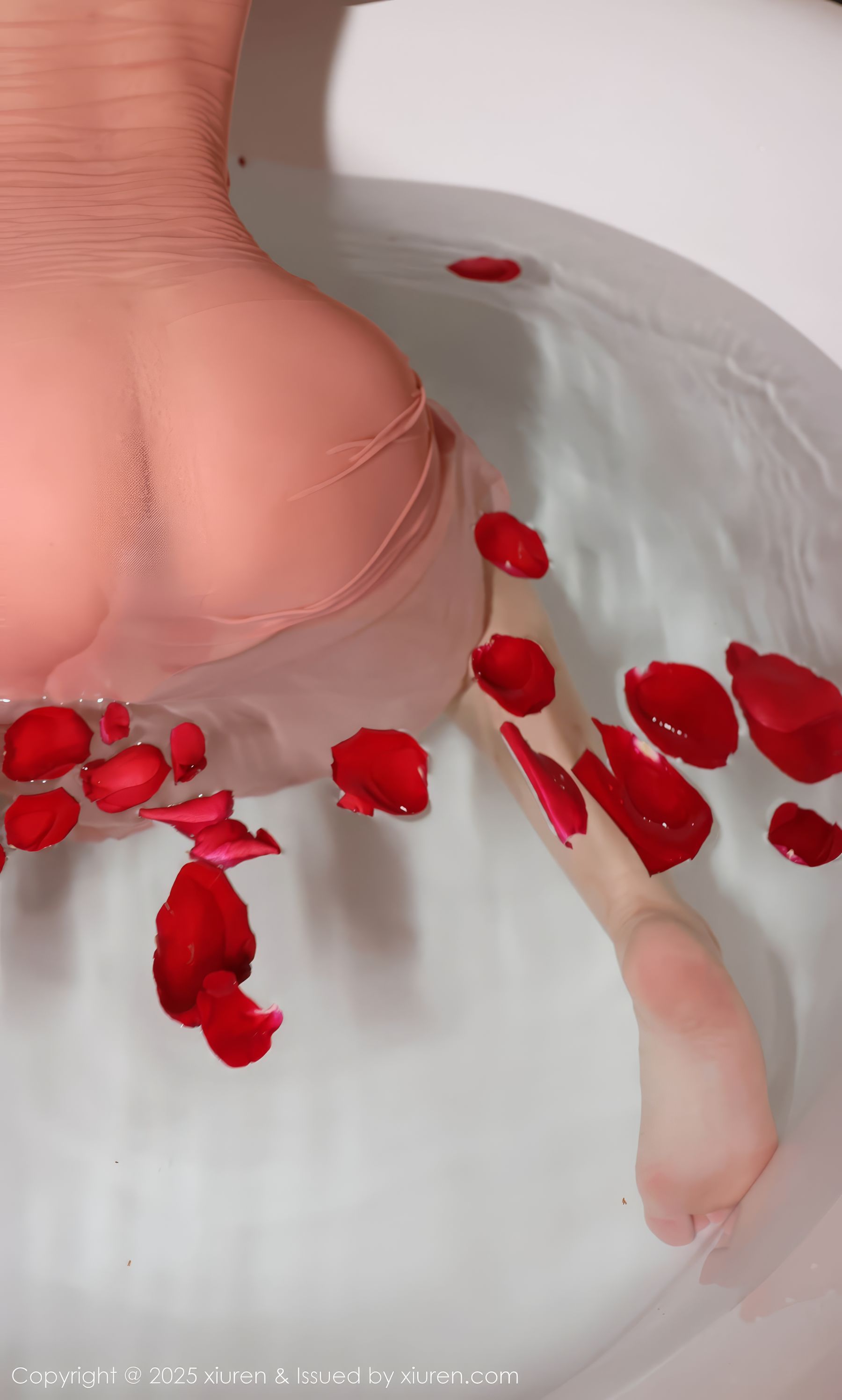 [秀人XiuRen] 2025.04.30 No.10229 小薯条nienie/(83P)