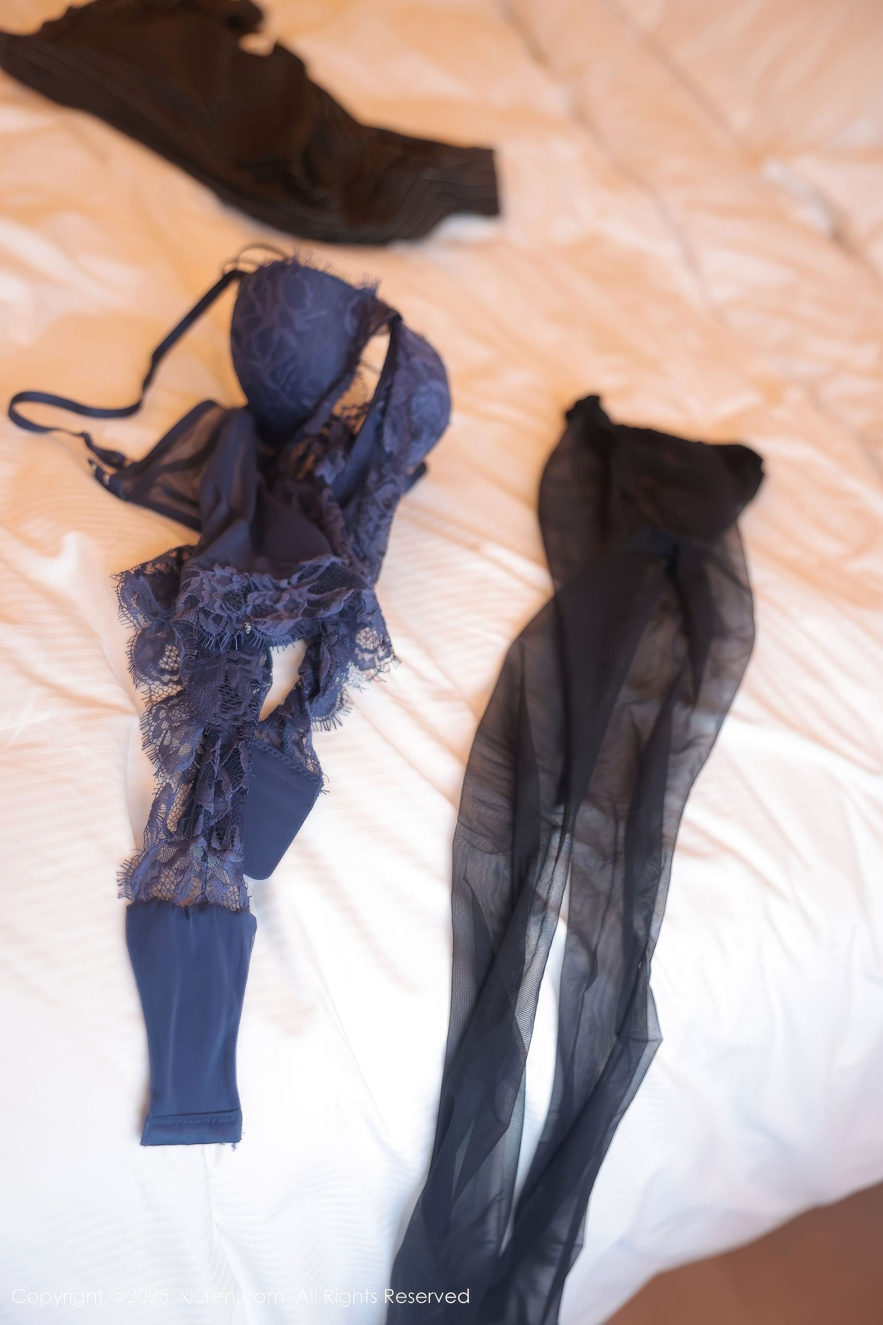 [秀人XiuRen] 2025.05.16 No.10285 奶油猫呀/(79P)