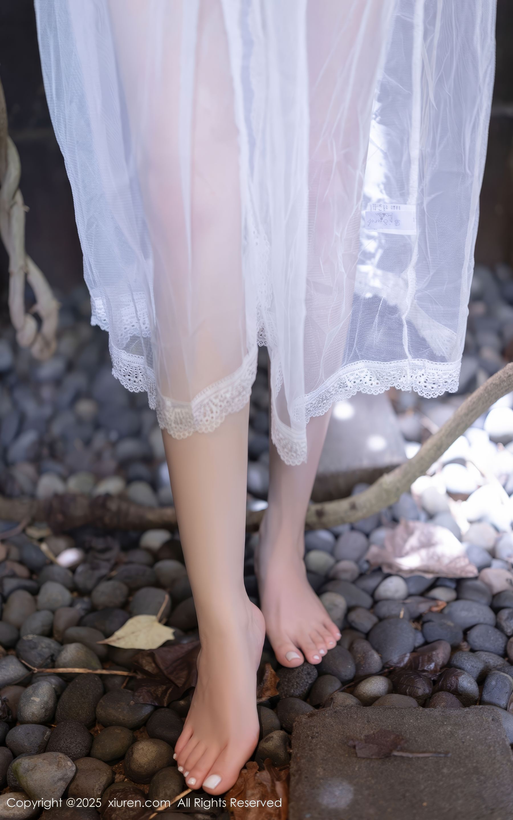 [秀人XiuRen] 2025.04.18 No.10173 鱼子酱Fish/(80P)