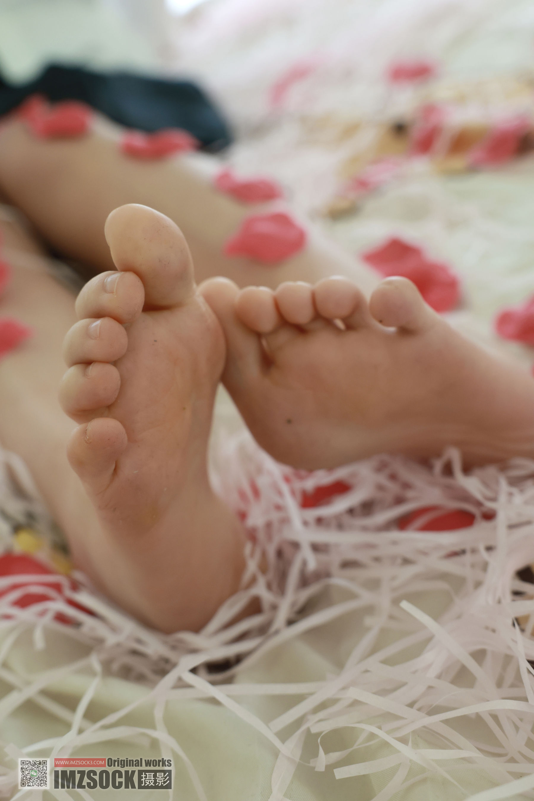 [MZSOCK]爱美足 No.321 小点心/(120P)