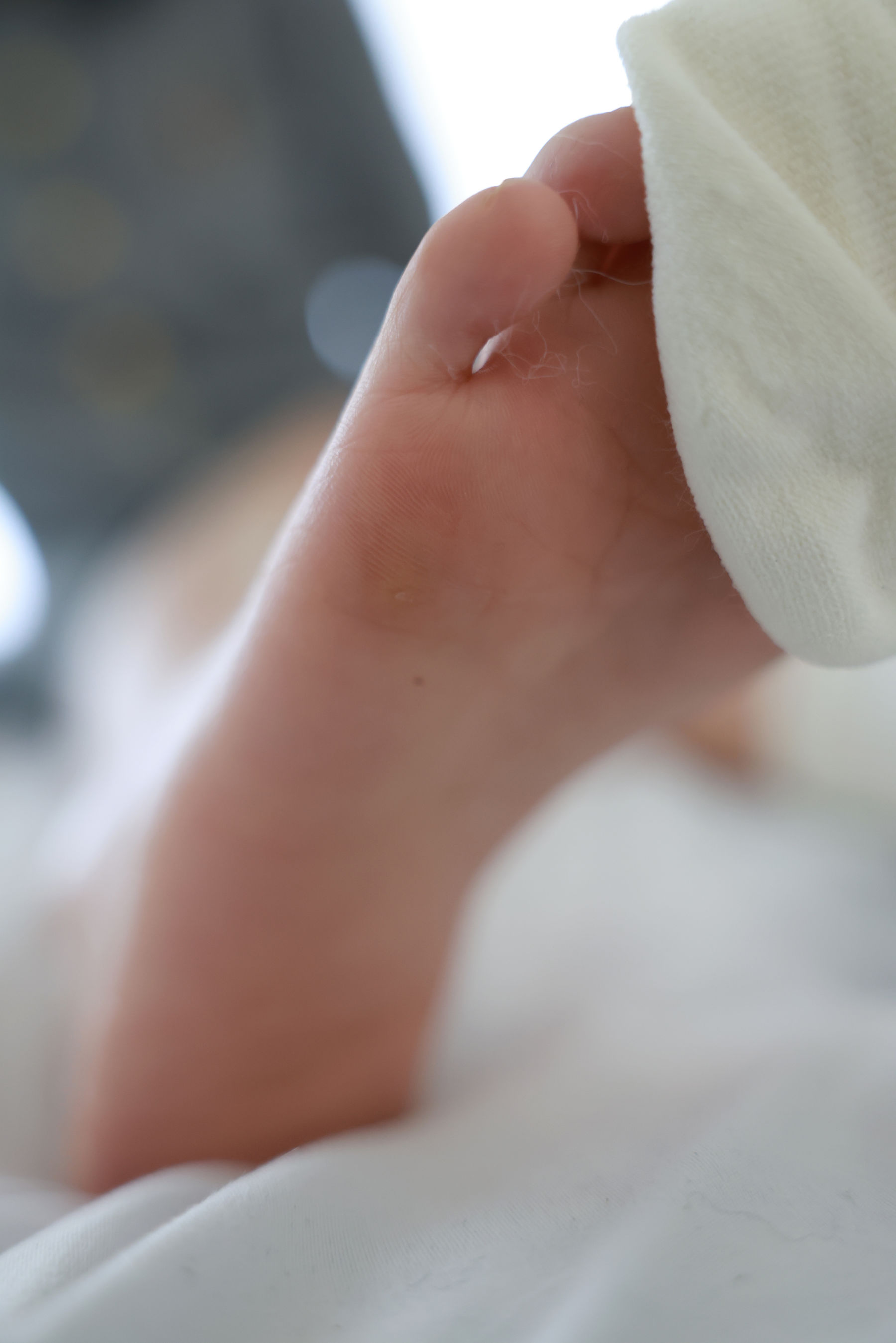 [MZSOCK]爱美足 No.316 小点心/(121P)