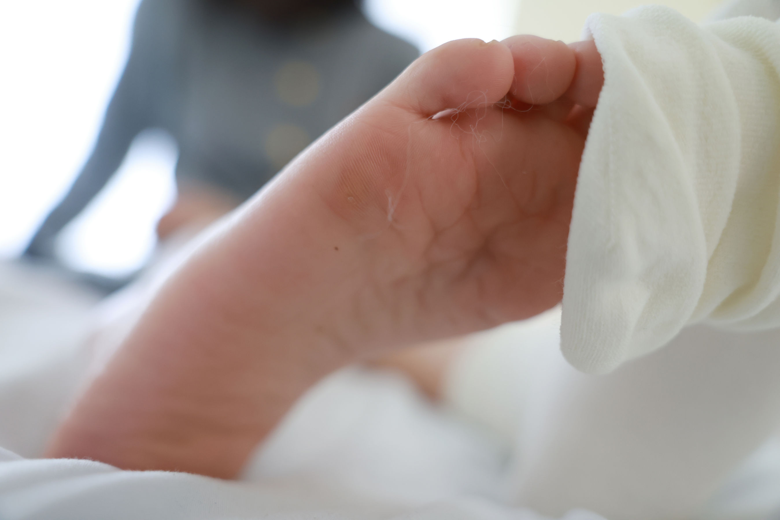 [MZSOCK]爱美足 No.316 小点心/(121P)