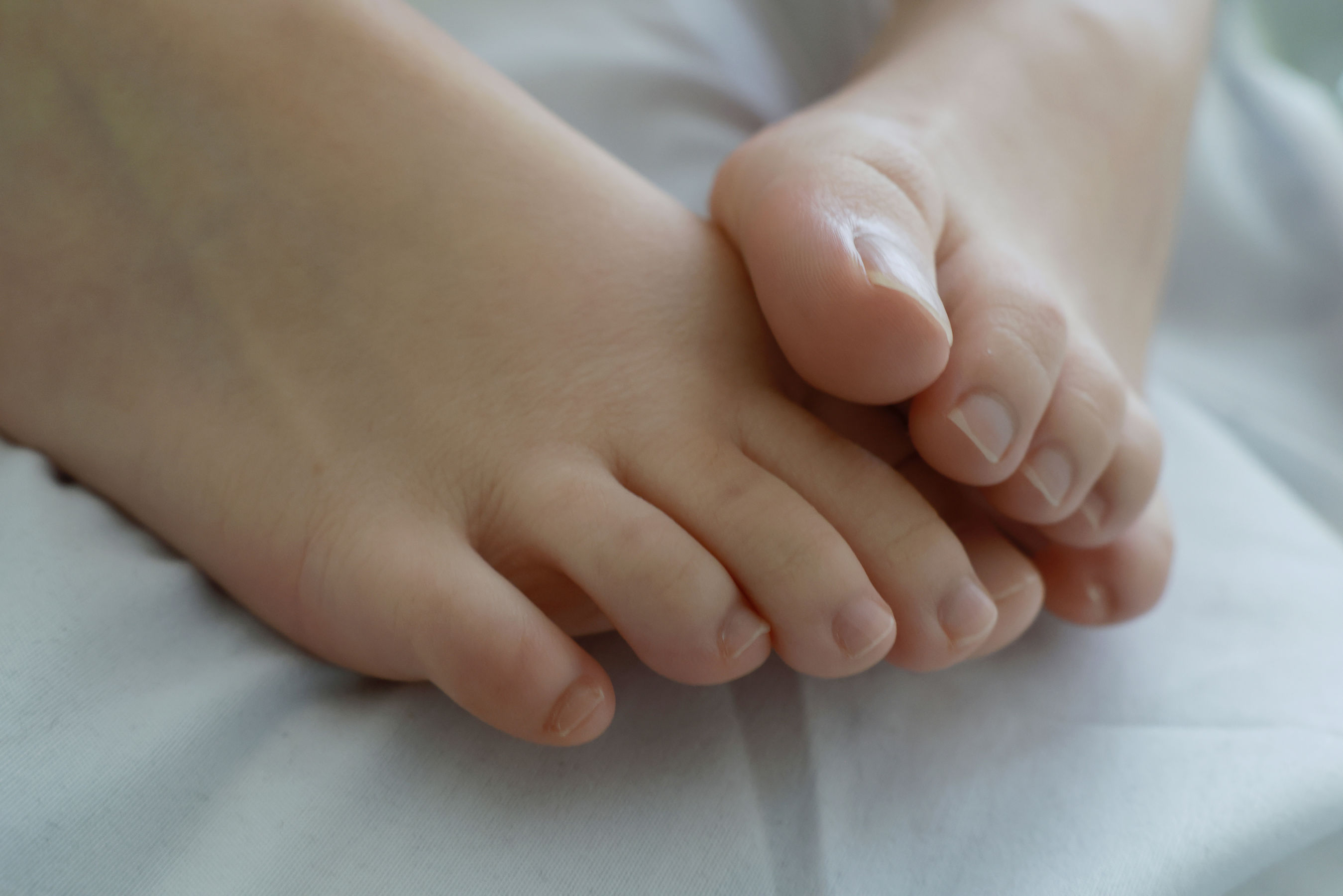 [MZSOCK]爱美足 No.316 小点心/(121P)