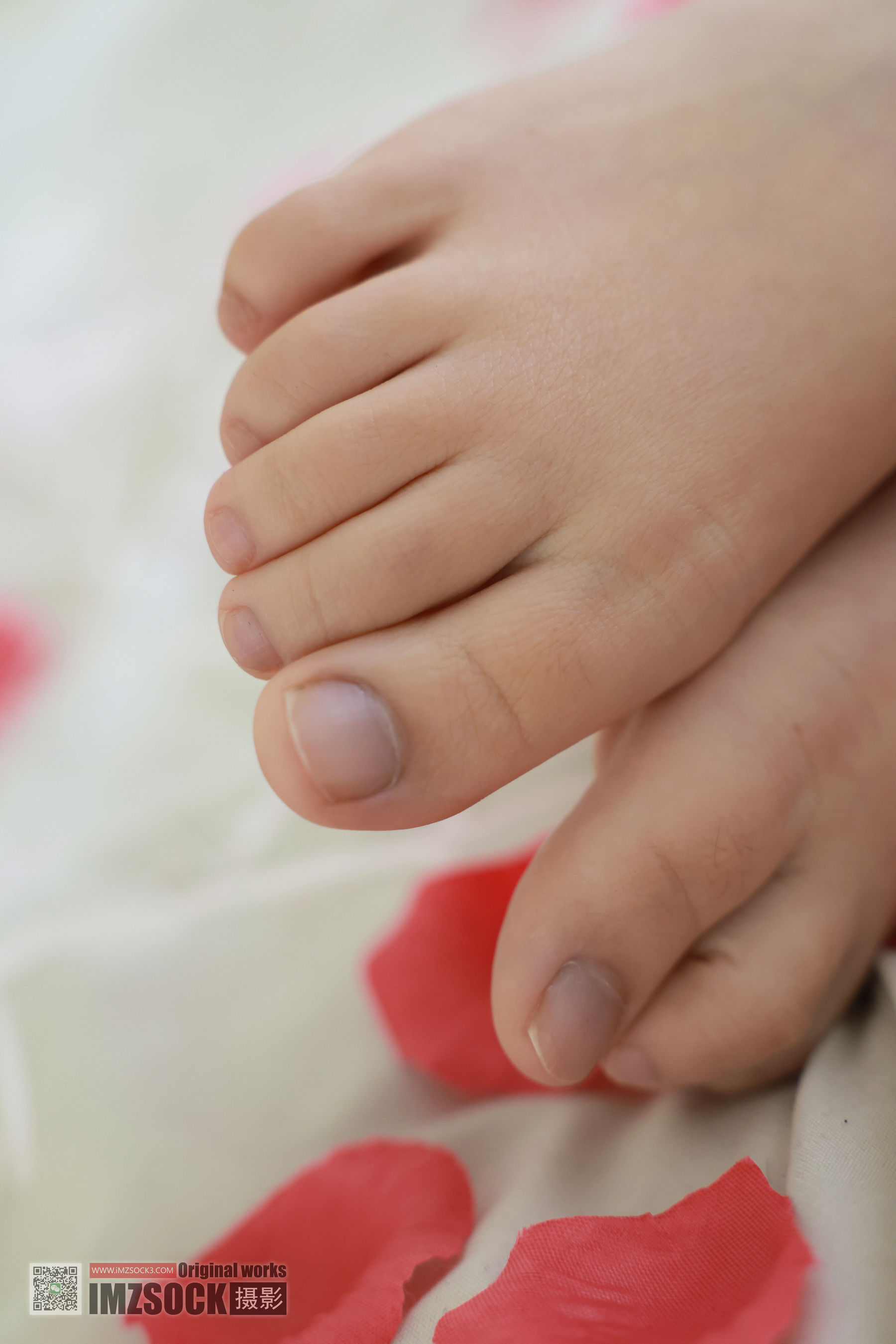 [MZSOCK]爱美足 No.321 小点心/(120P)