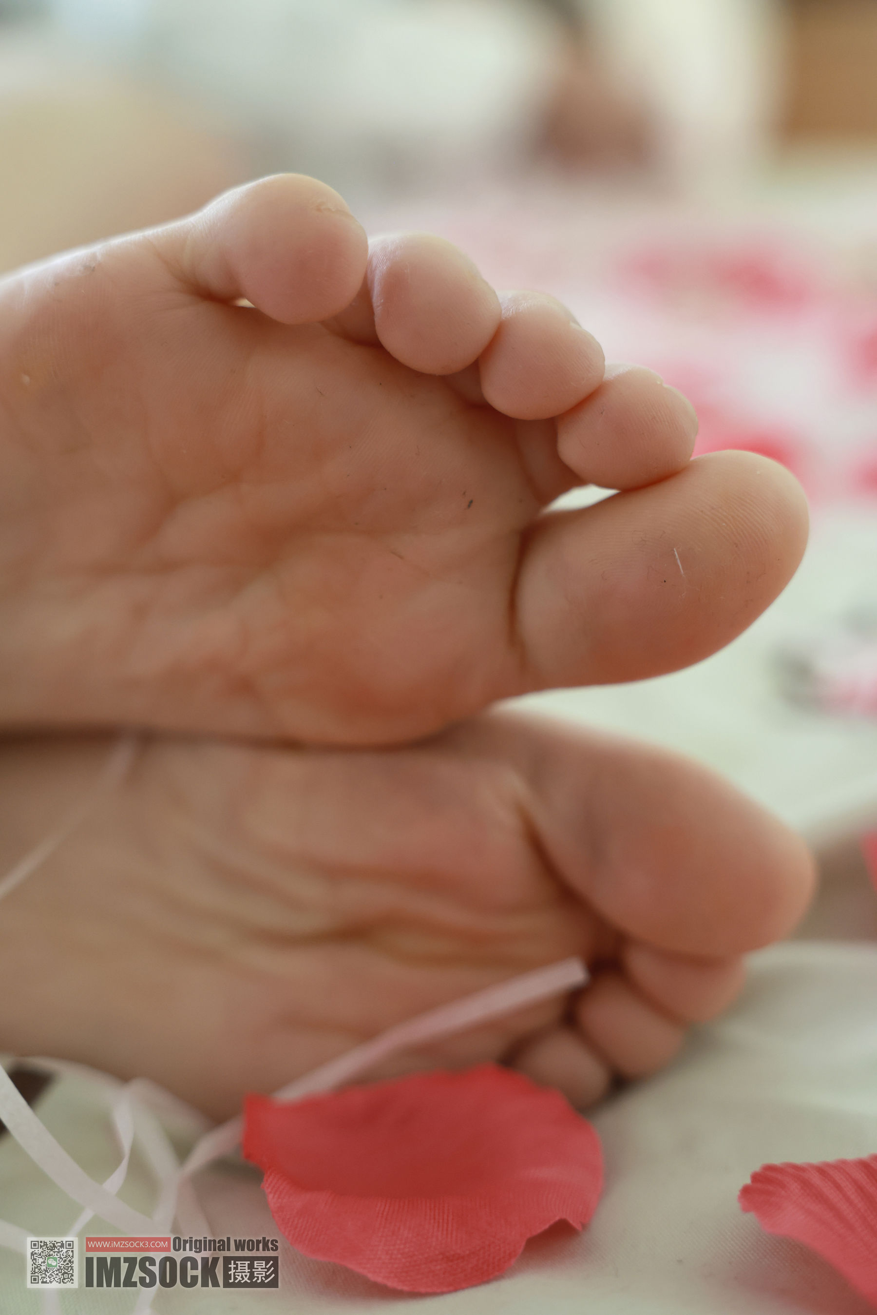 [MZSOCK]爱美足 No.321 小点心/(120P)