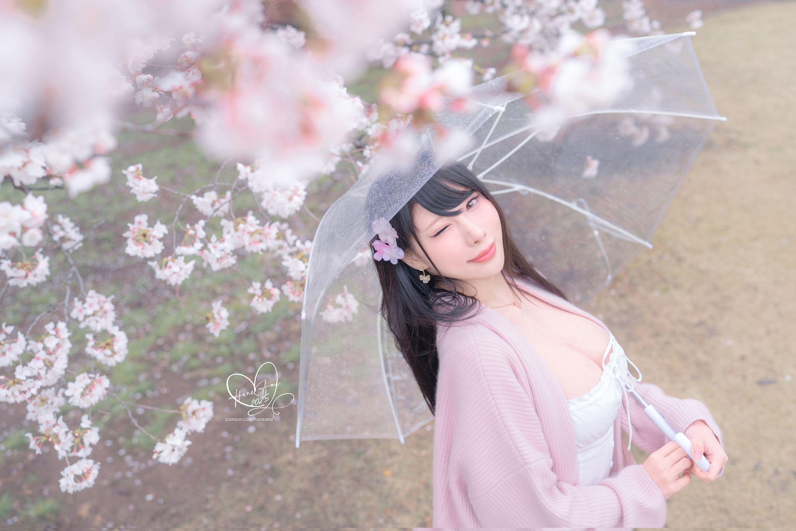 Hane Ame 雨波写真 - 雨樱下的约定/(33P)