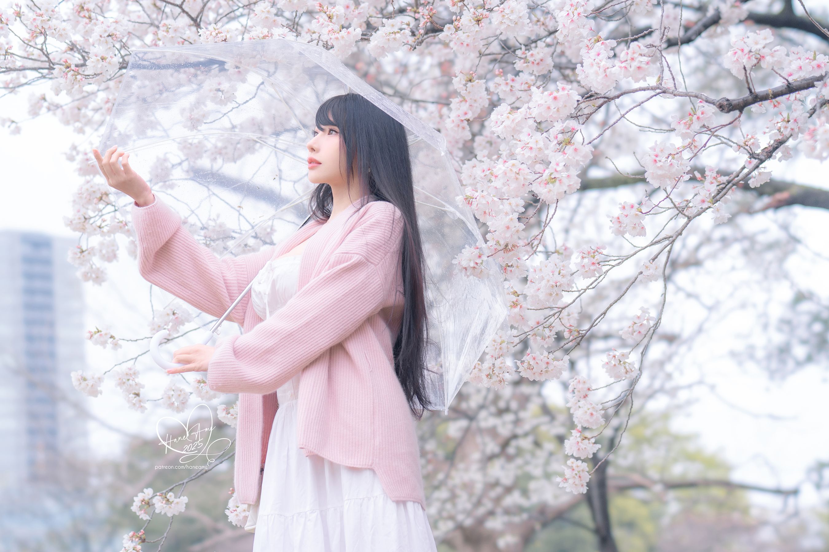 Hane Ame 雨波写真 - 雨樱下的约定/(33P)