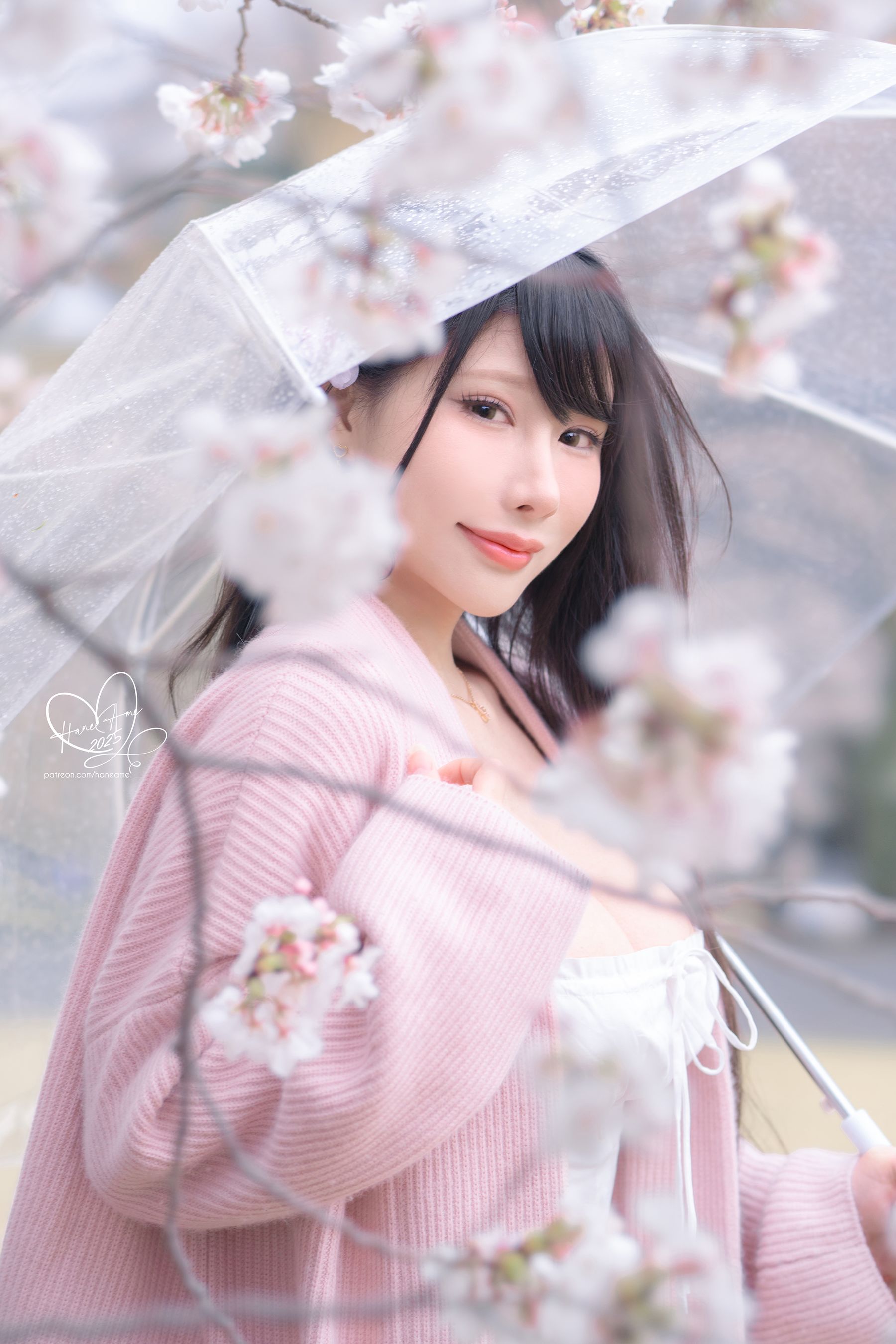 Hane Ame 雨波写真 - 雨樱下的约定/(33P)