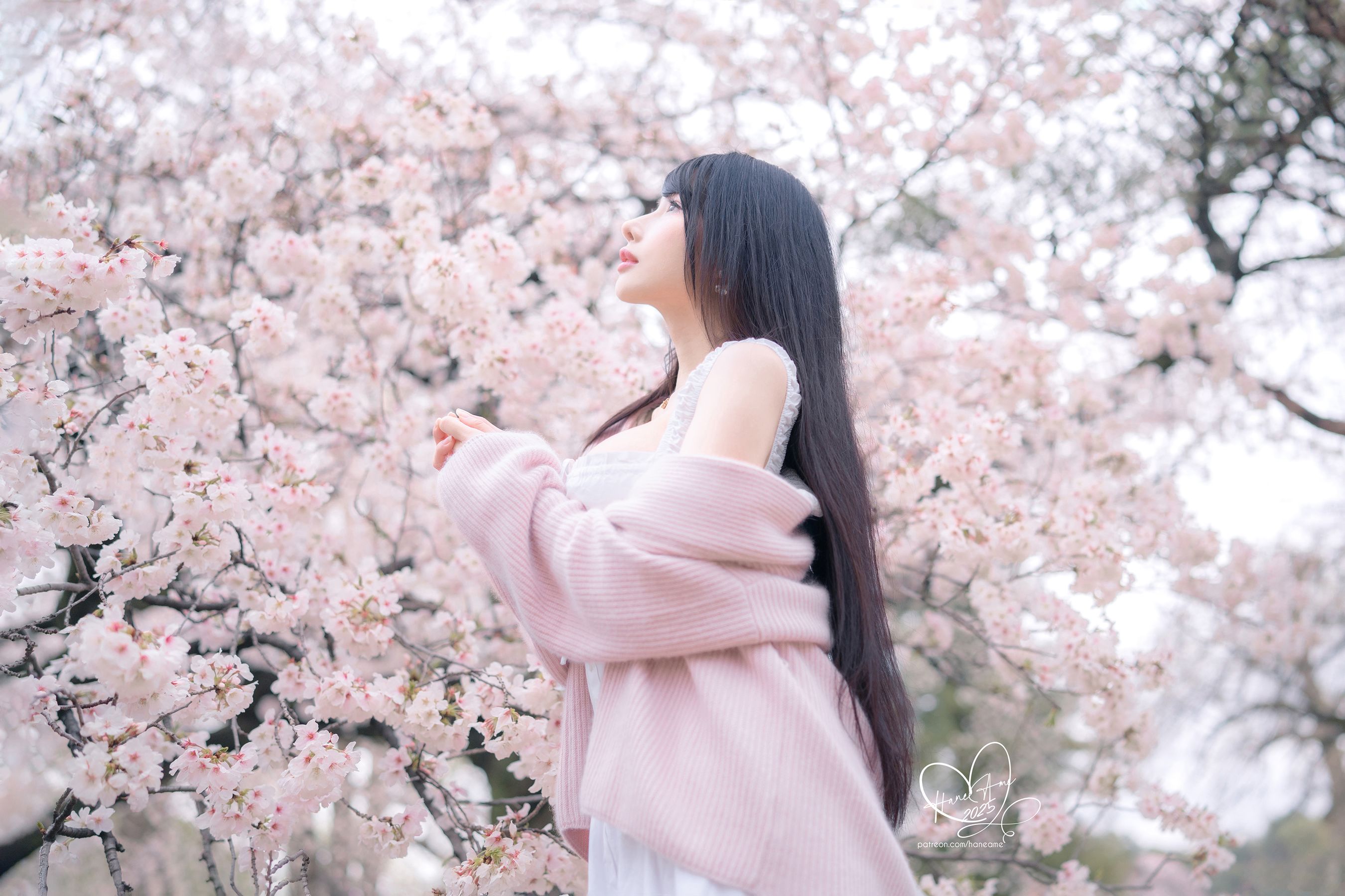 Hane Ame 雨波写真 - 雨樱下的约定/(33P)