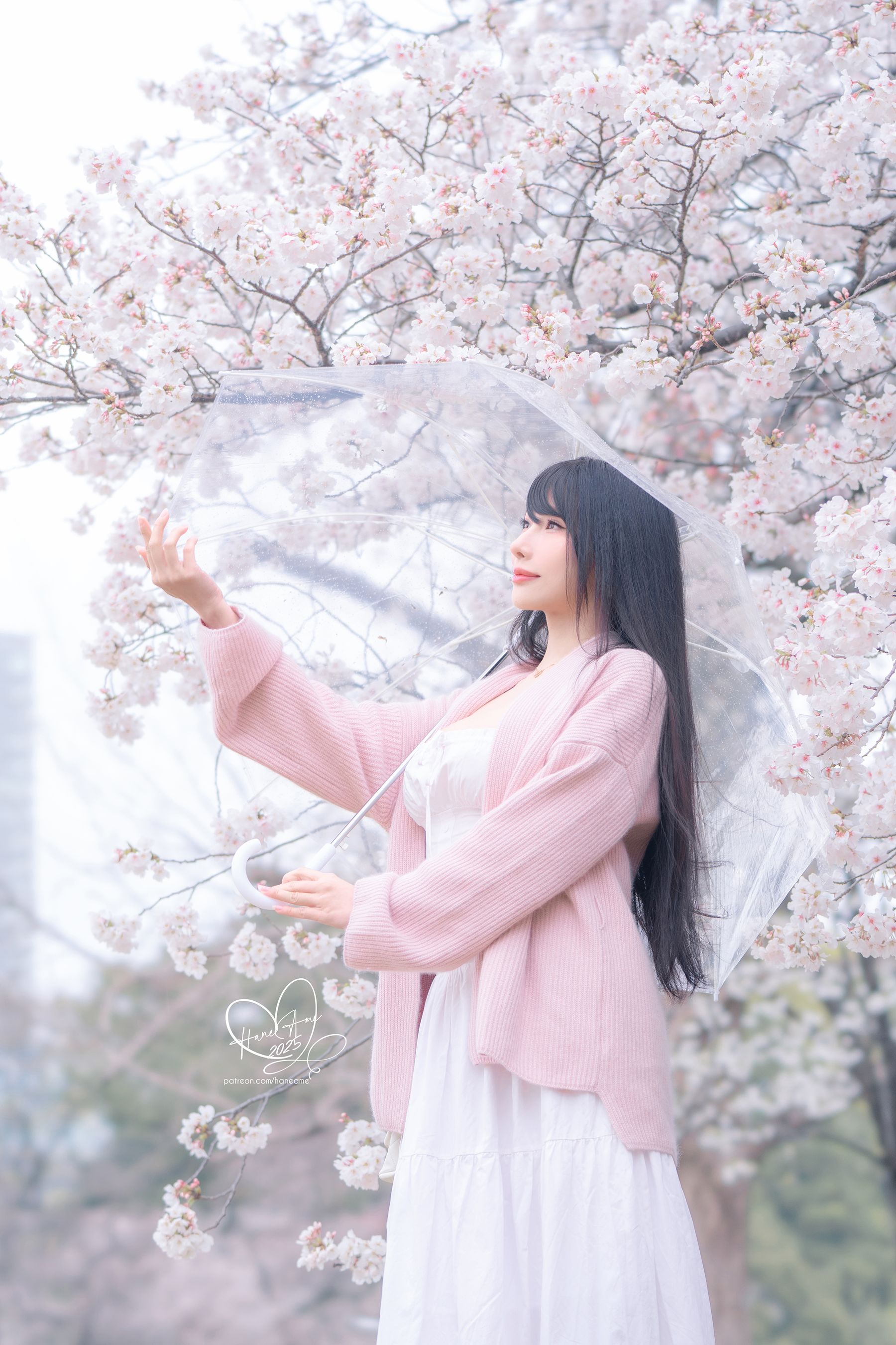 Hane Ame 雨波写真 - 雨樱下的约定/(33P)