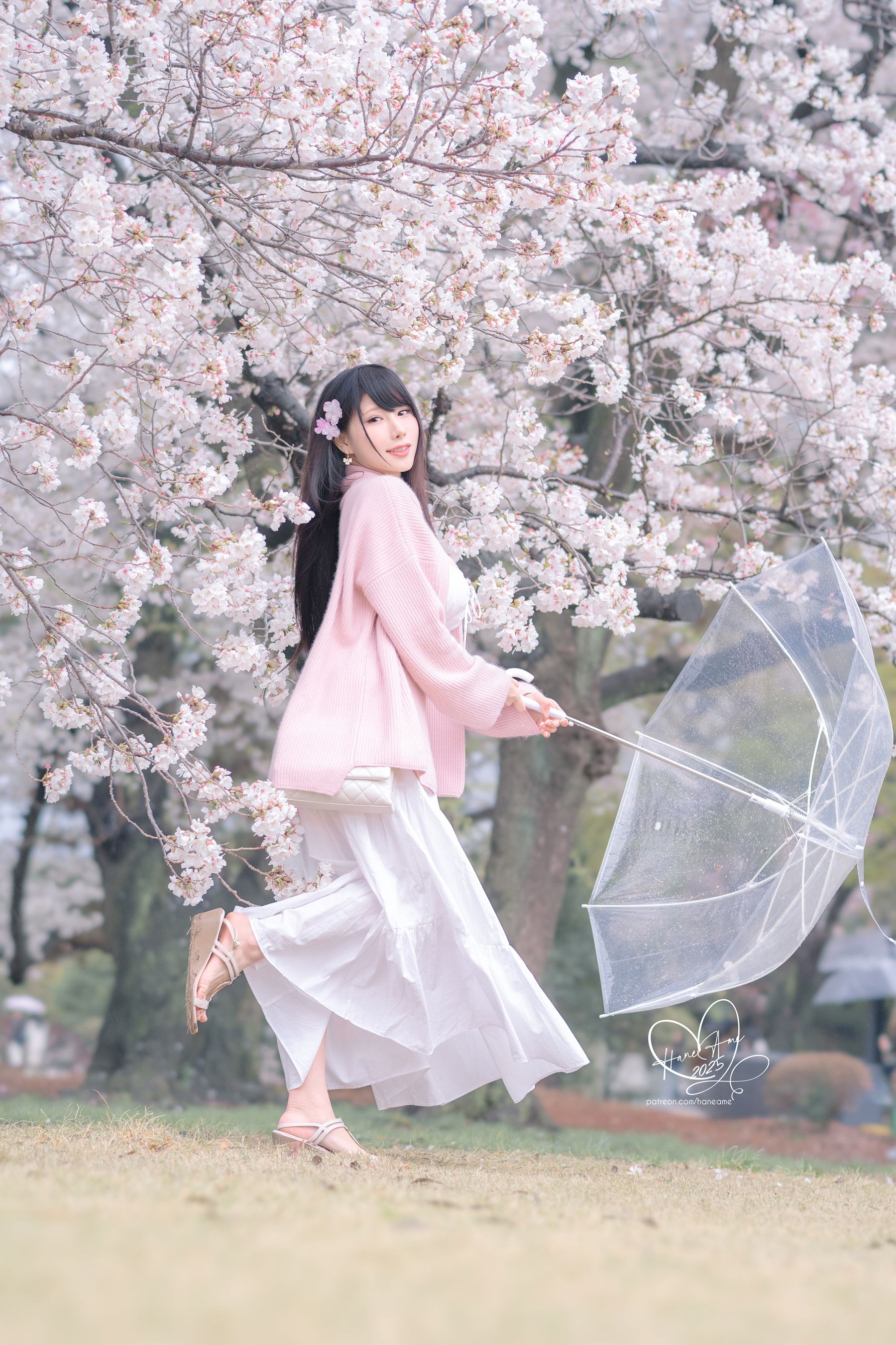 Hane Ame 雨波写真 - 雨樱下的约定/(33P)