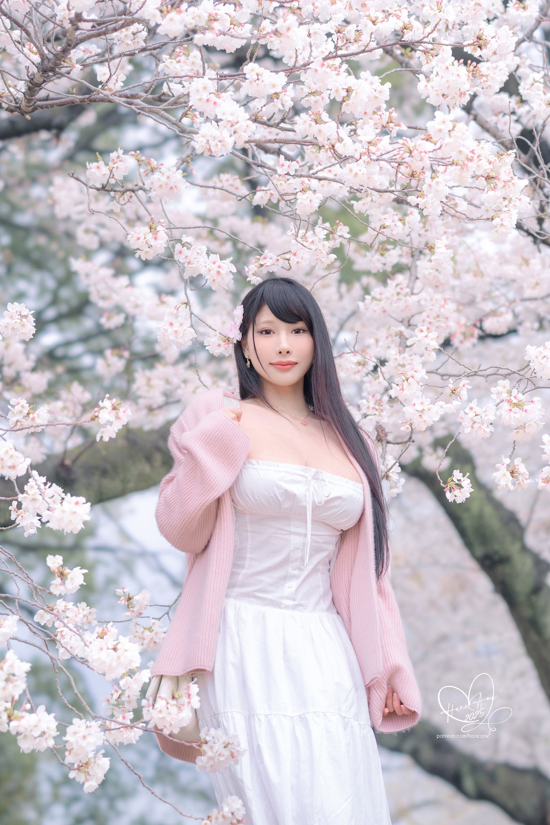 Hane Ame 雨波写真 - 雨樱下的约定/(33P)