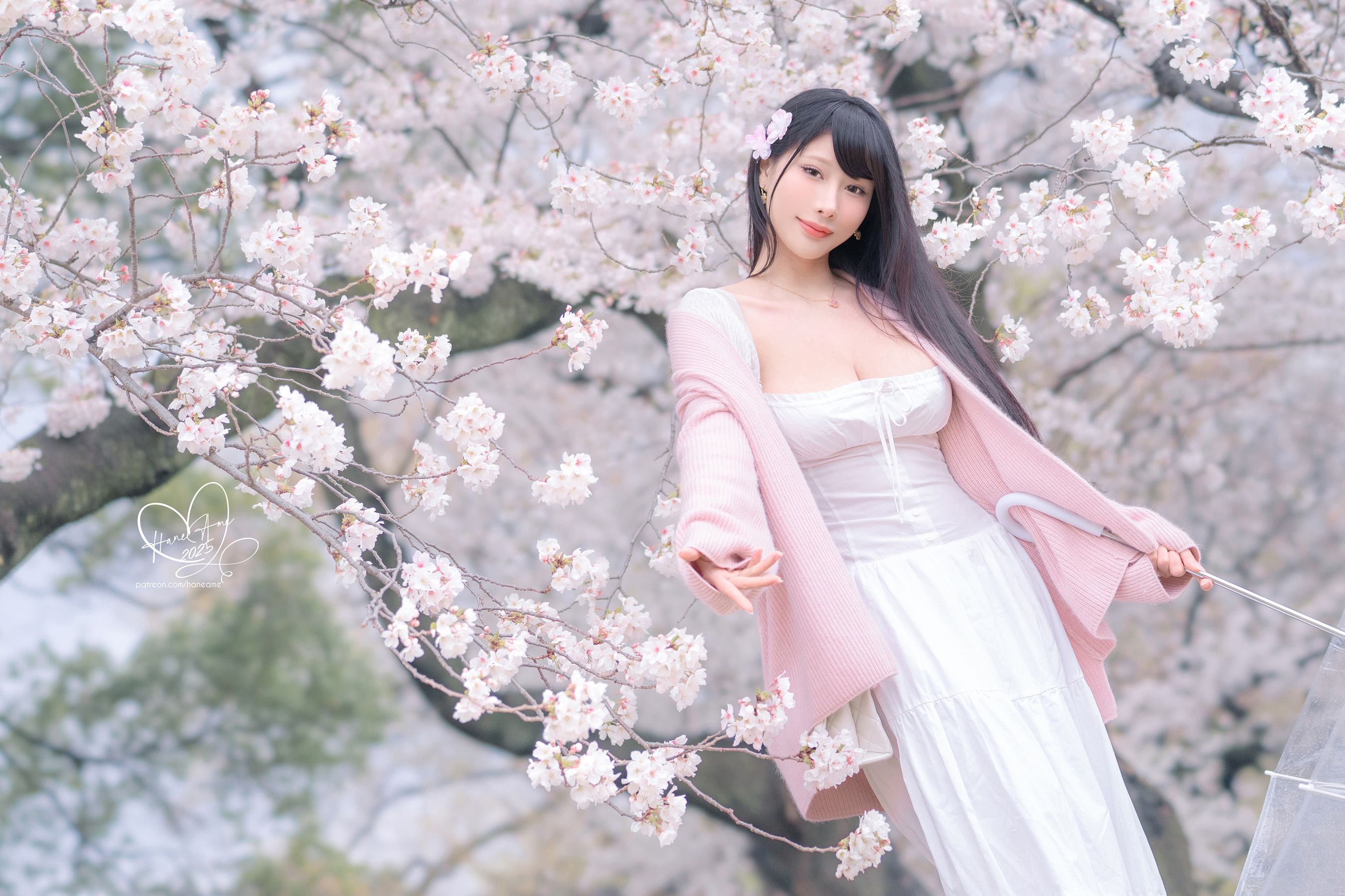 Hane Ame 雨波写真 - 雨樱下的约定/(33P)