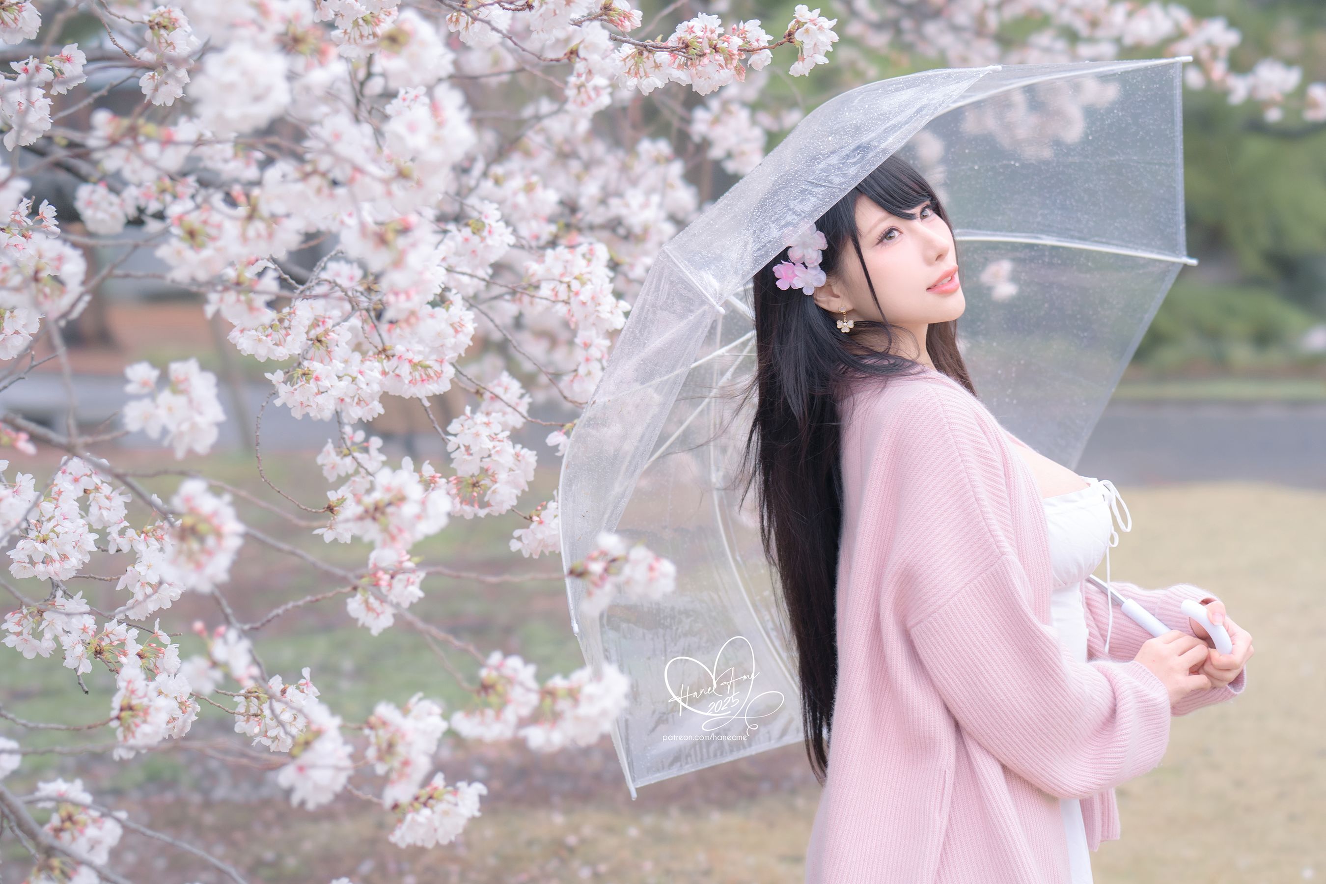 Hane Ame 雨波写真 - 雨樱下的约定/(33P)