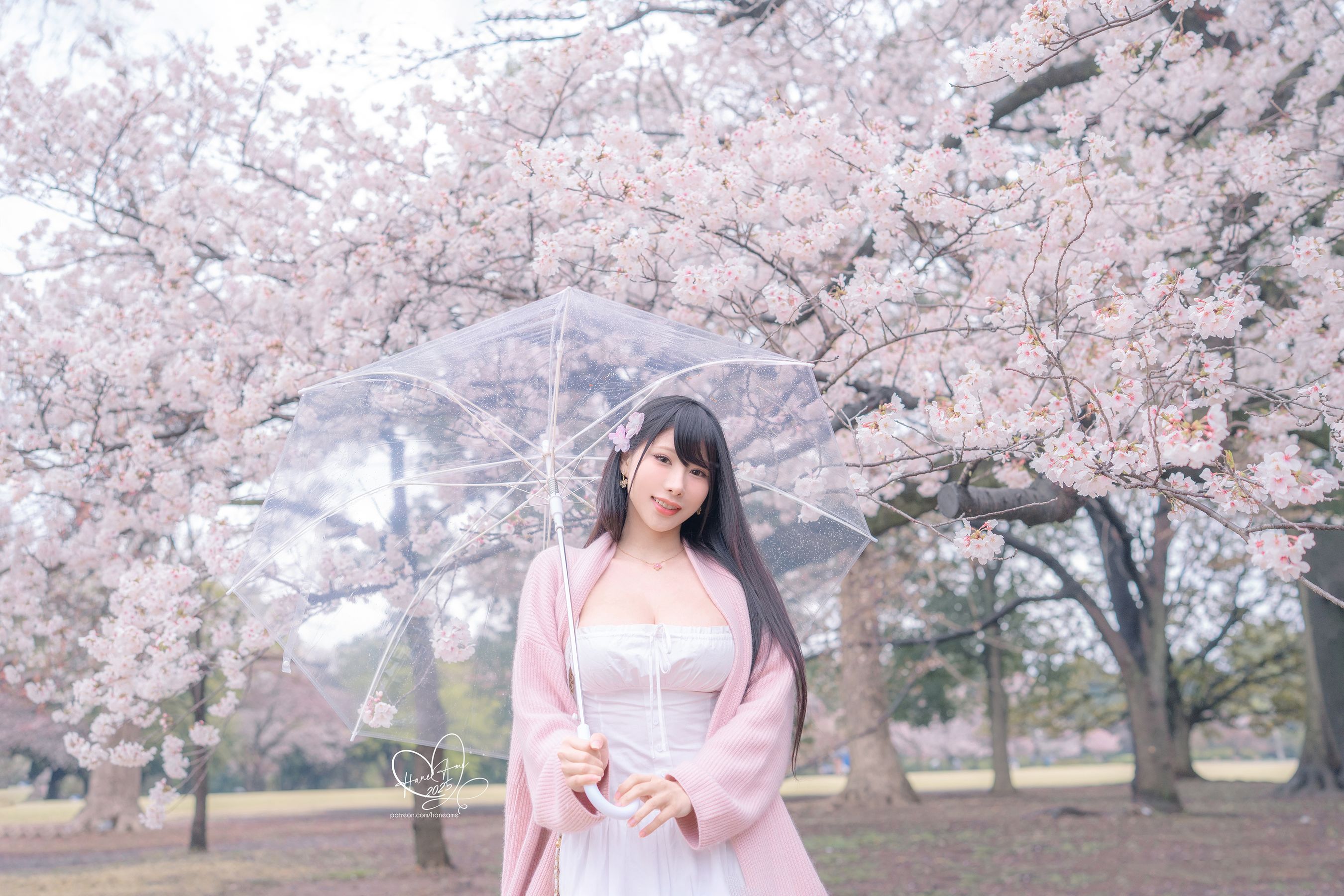 Hane Ame 雨波写真 - 雨樱下的约定/(33P)