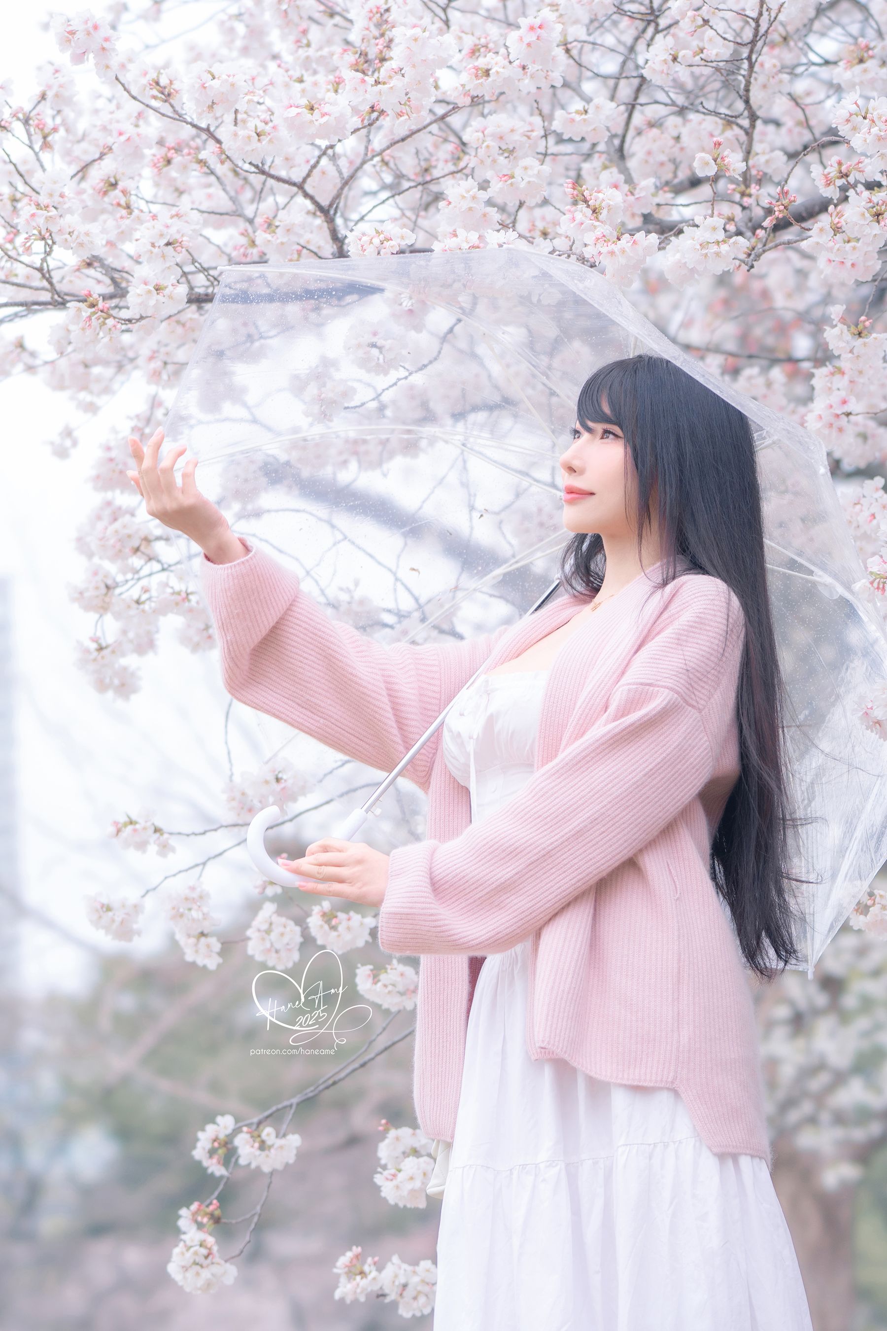 Hane Ame 雨波写真 - 雨樱下的约定/(33P)