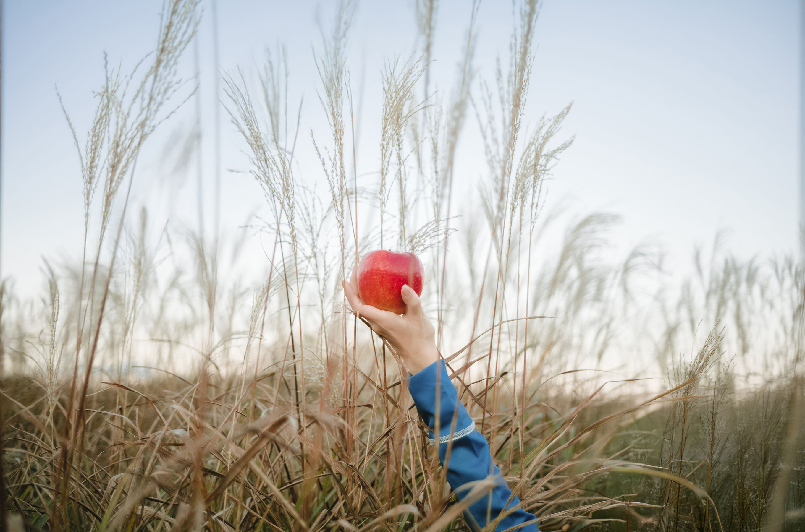 Ely_eee (ElyEE子) - Soft Glow 狼與暖陽/(52P)