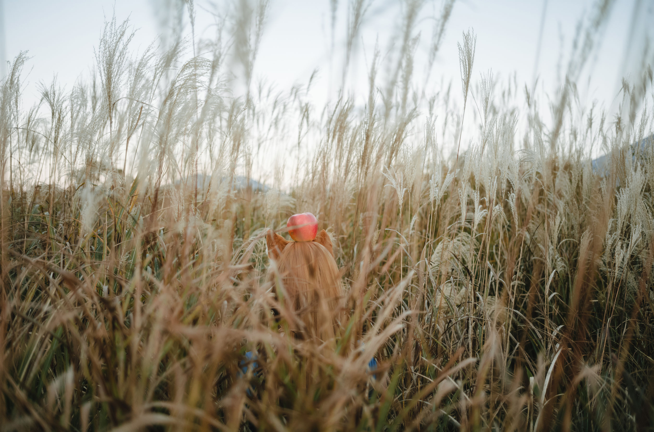 Ely_eee (ElyEE子) - Soft Glow 狼與暖陽/(52P)