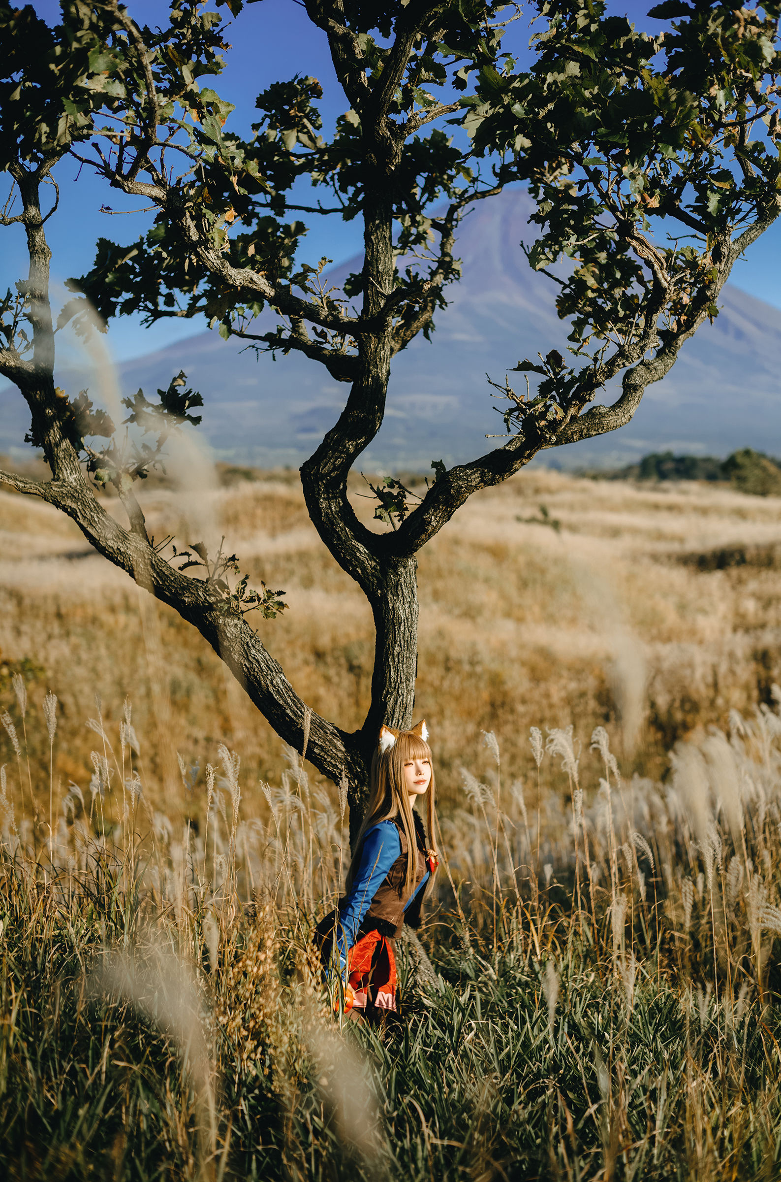 Ely_eee (ElyEE子) - Soft Glow 狼與暖陽/(52P)