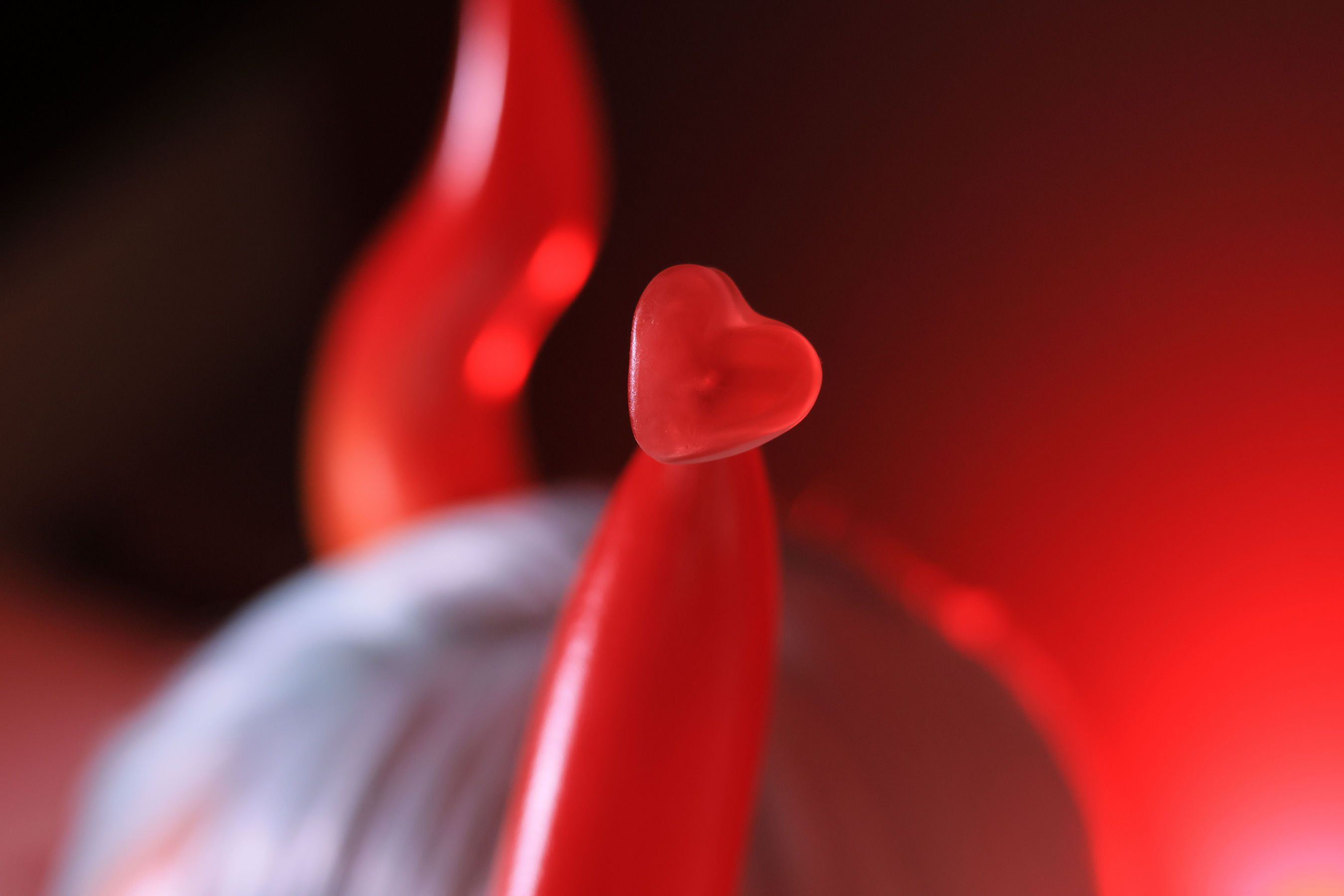 Dongeuran - Red Succubus/(241P)