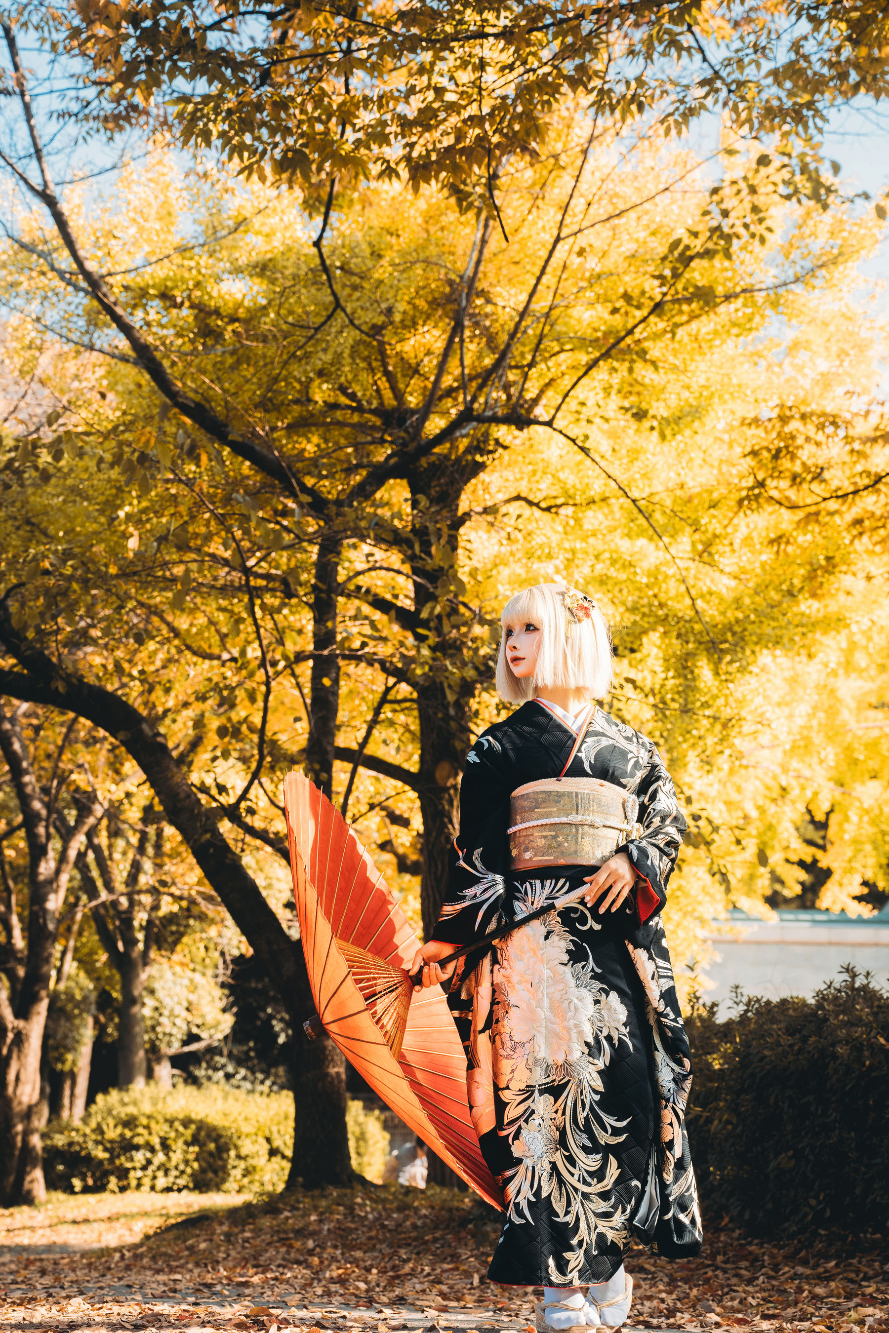 动漫博主蠢沫沫 - 秋寻(下）/(285P)