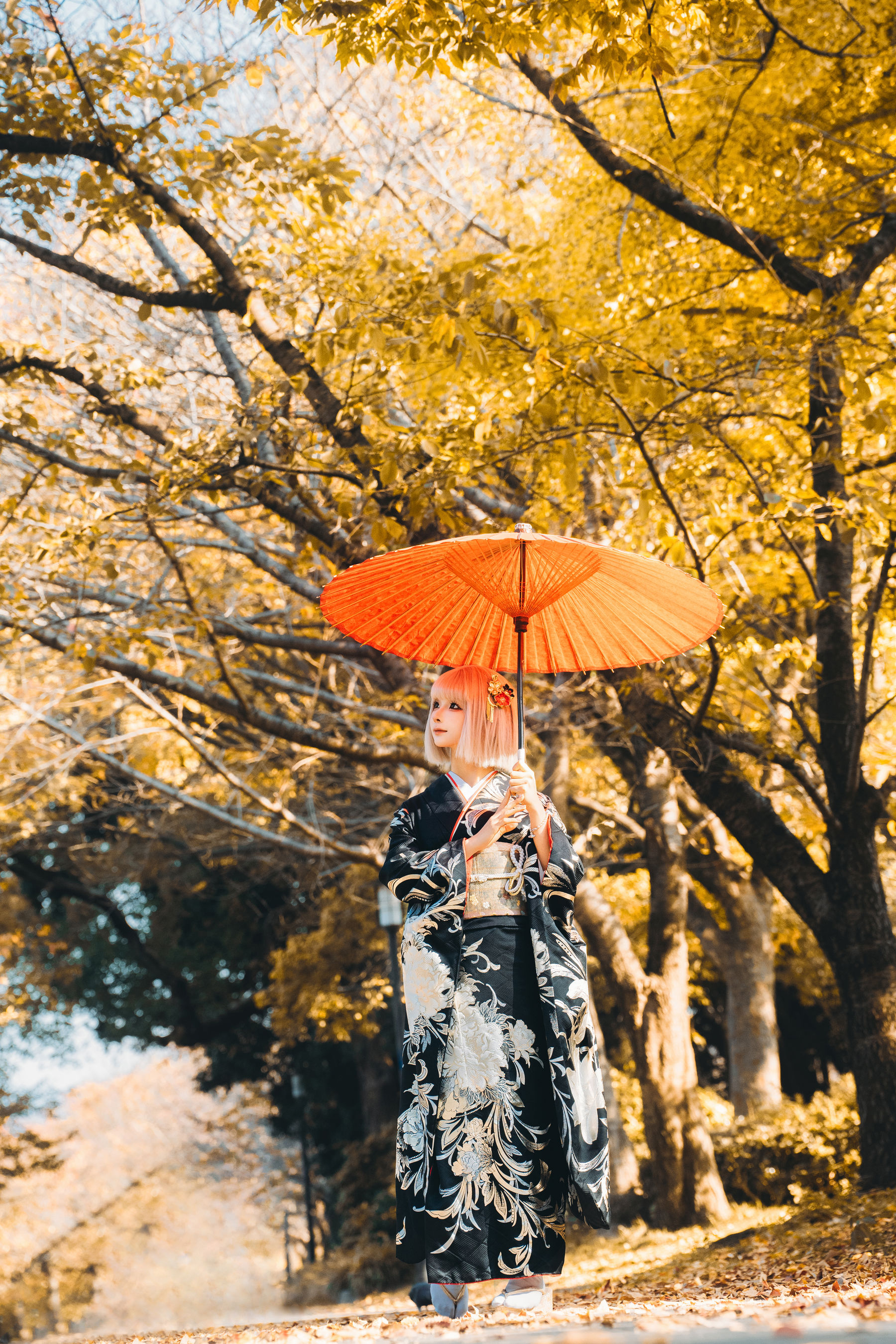 动漫博主蠢沫沫 - 秋寻(下）/(285P)