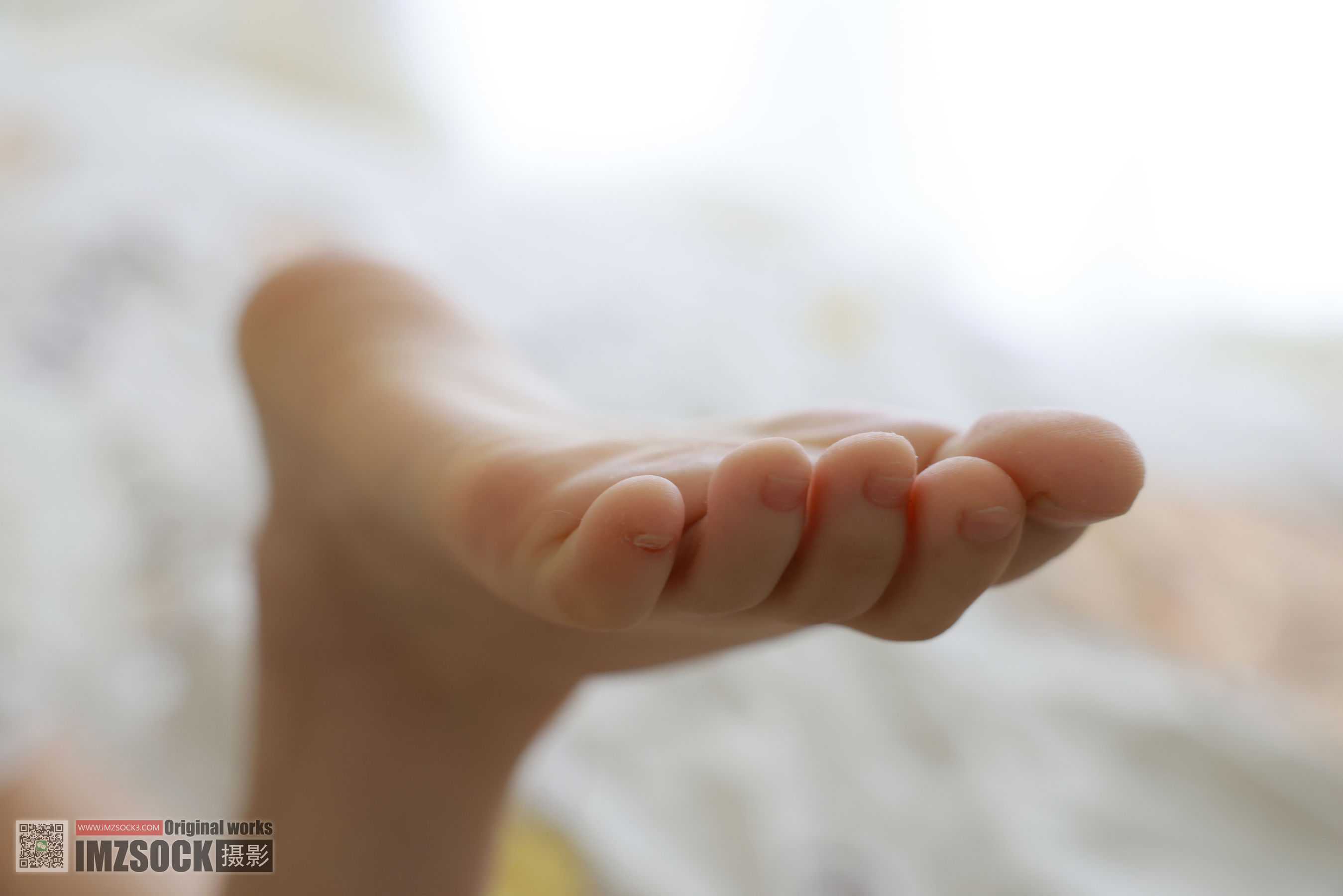 [MZSOCK]爱美足 No.322 可心/(156P)