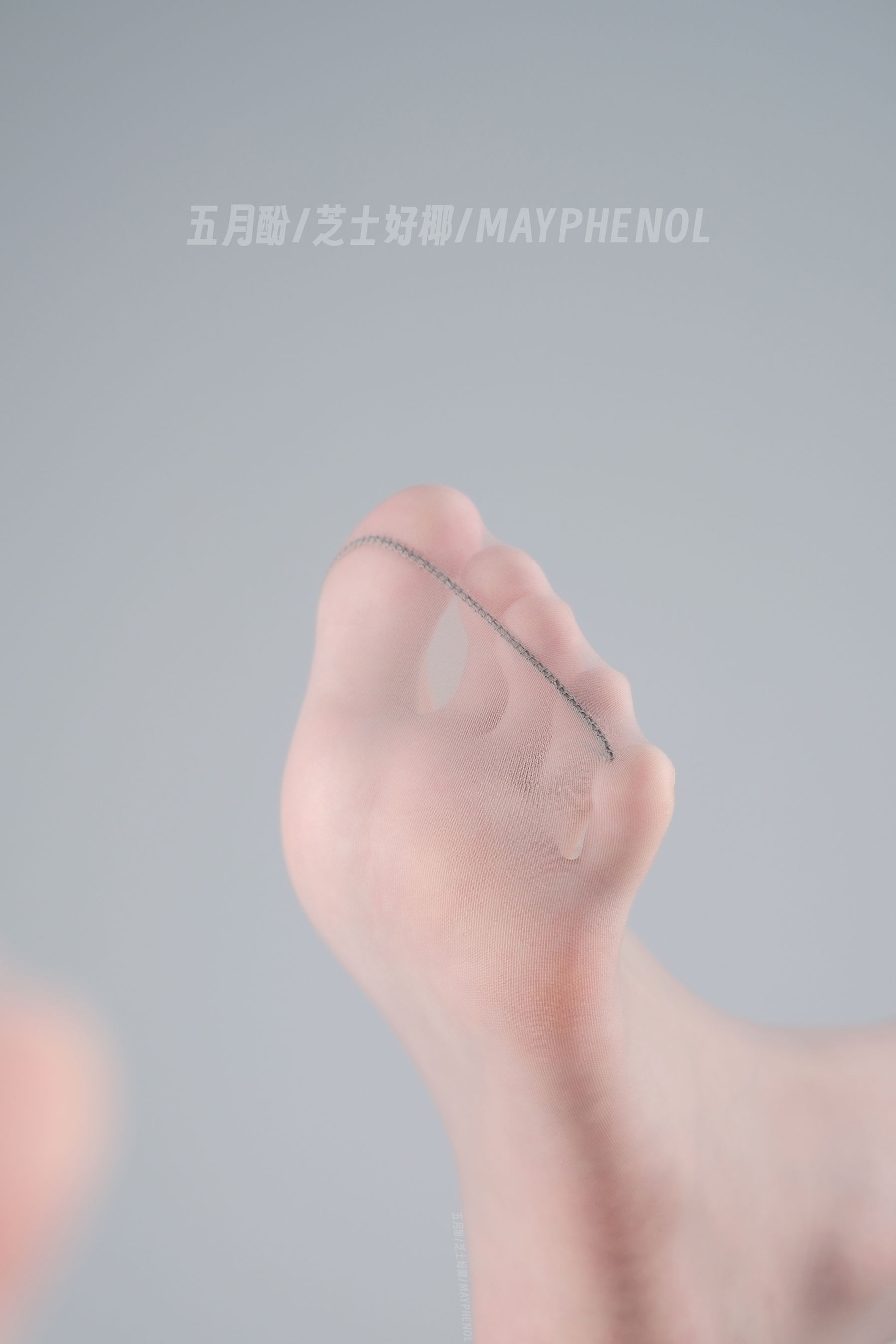 芝士好椰  - 第一次拍薄灰丝/(12P)