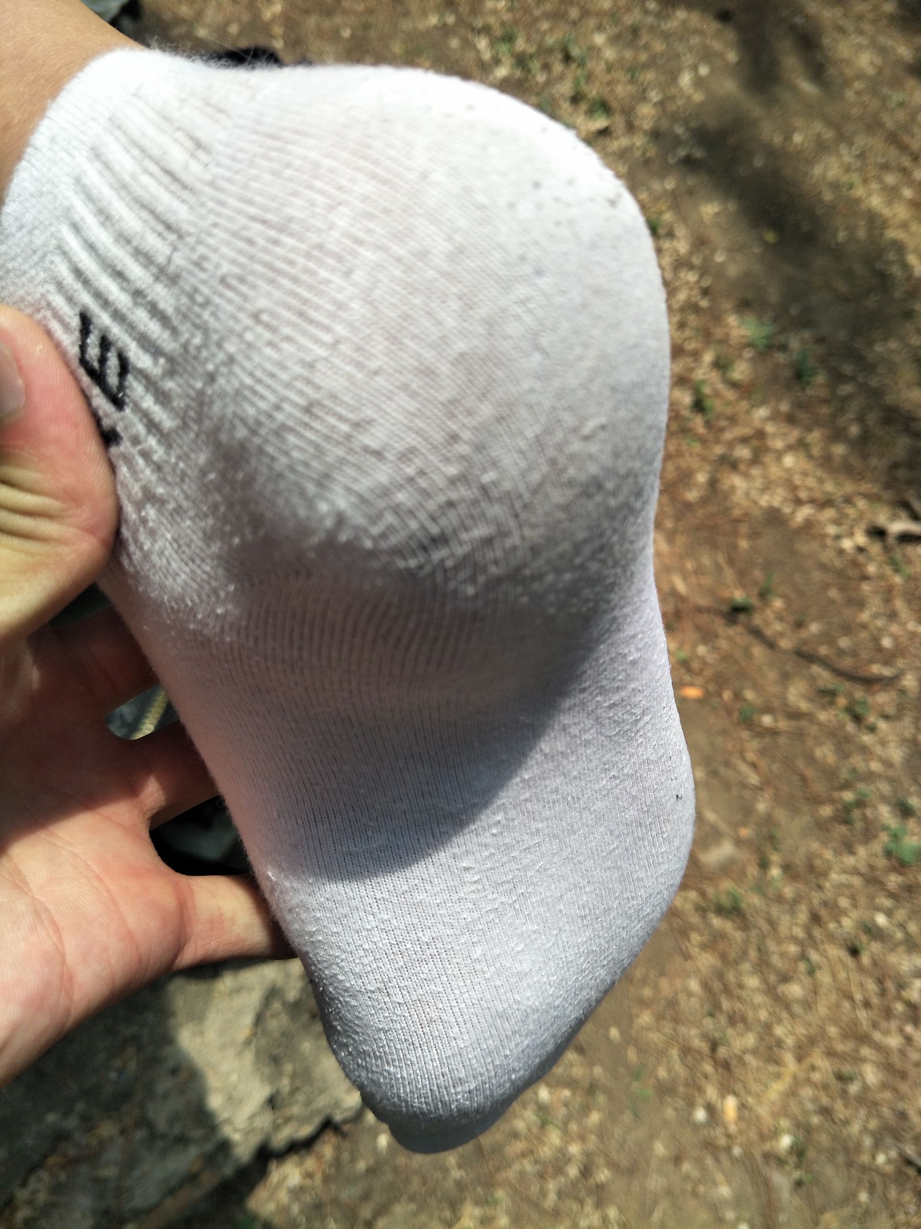 紧身堂妹约出换网袜/(234P)