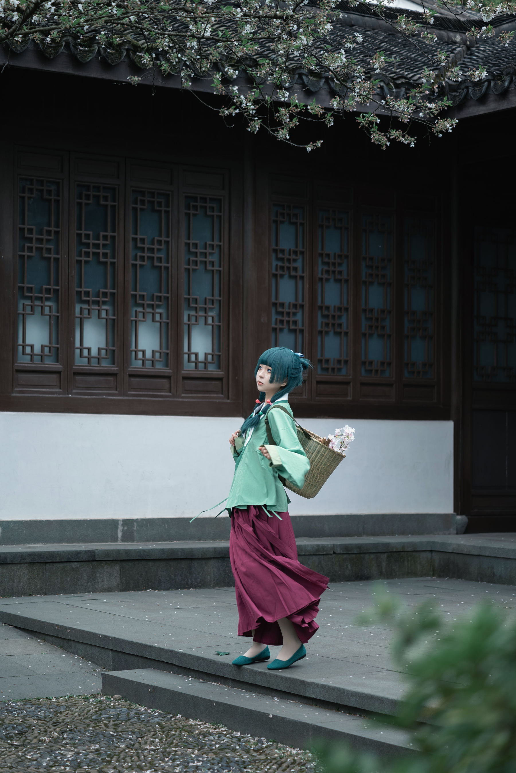 矢量鱼 - Maomao/(52P)