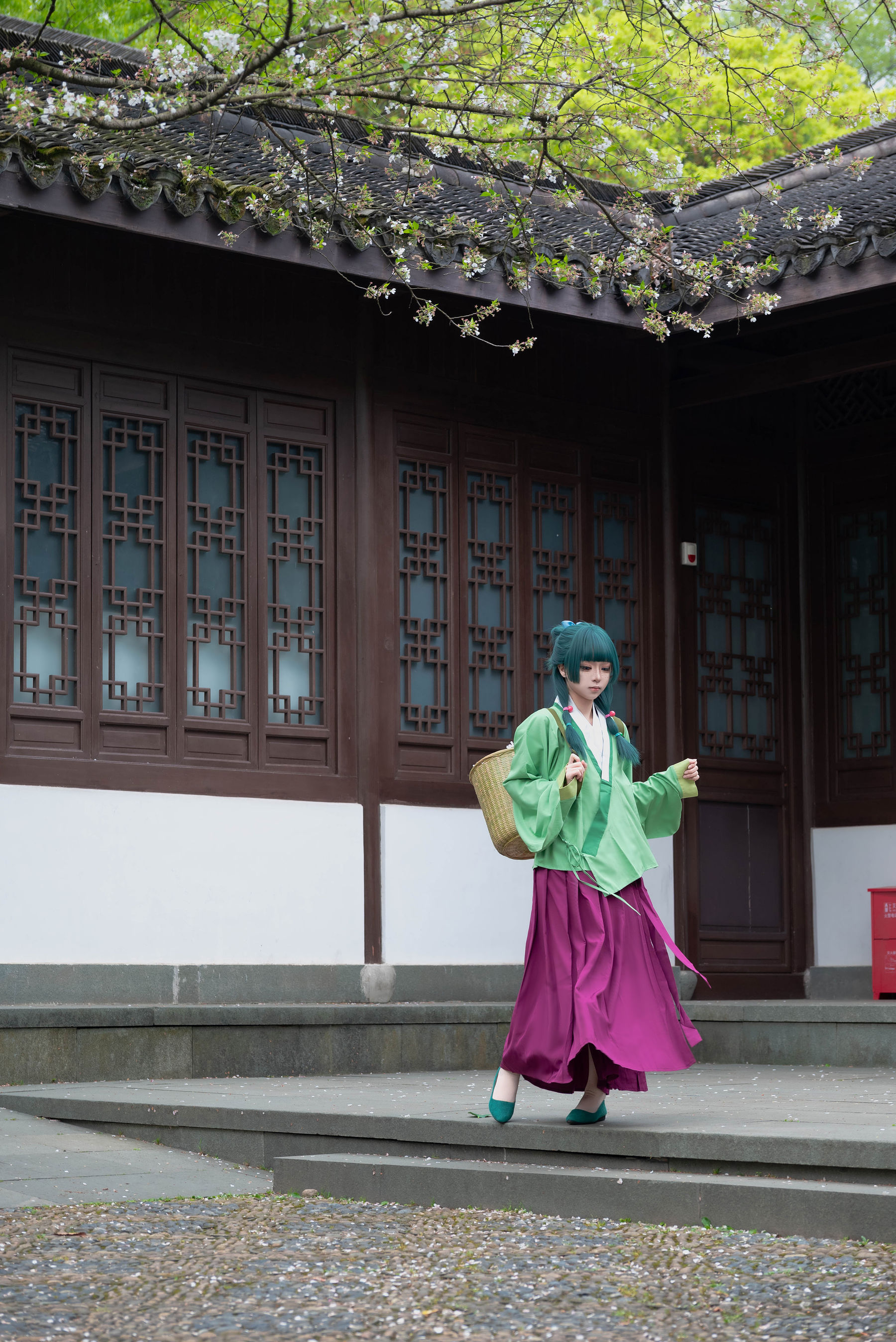 矢量鱼 - Maomao/(52P)