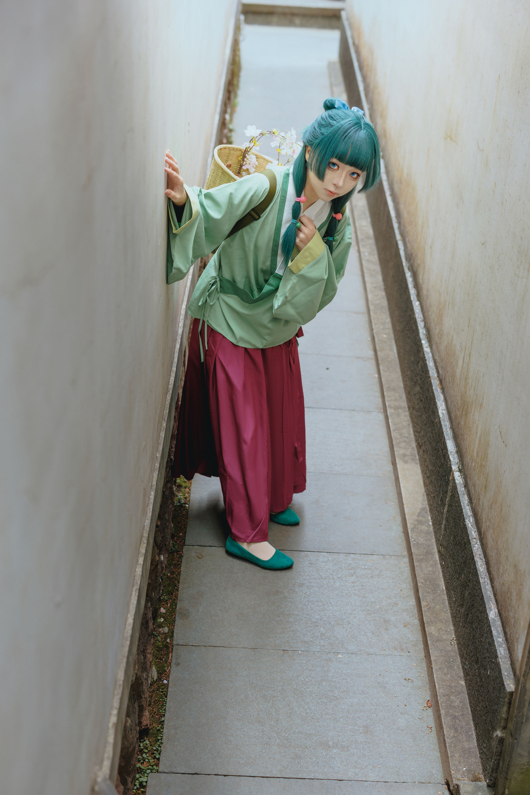 矢量鱼 - Maomao/(52P)