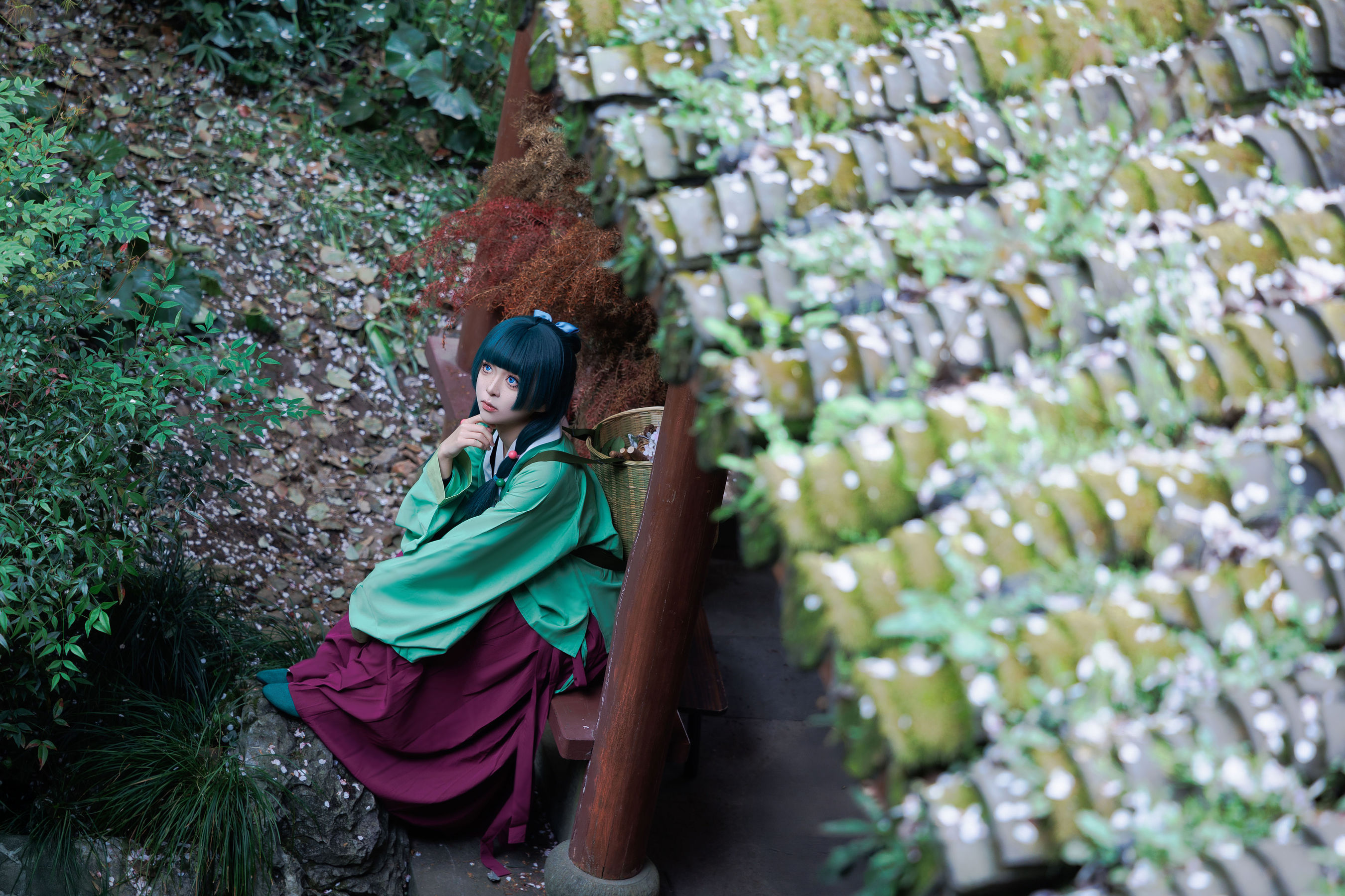 矢量鱼 - Maomao/(52P)