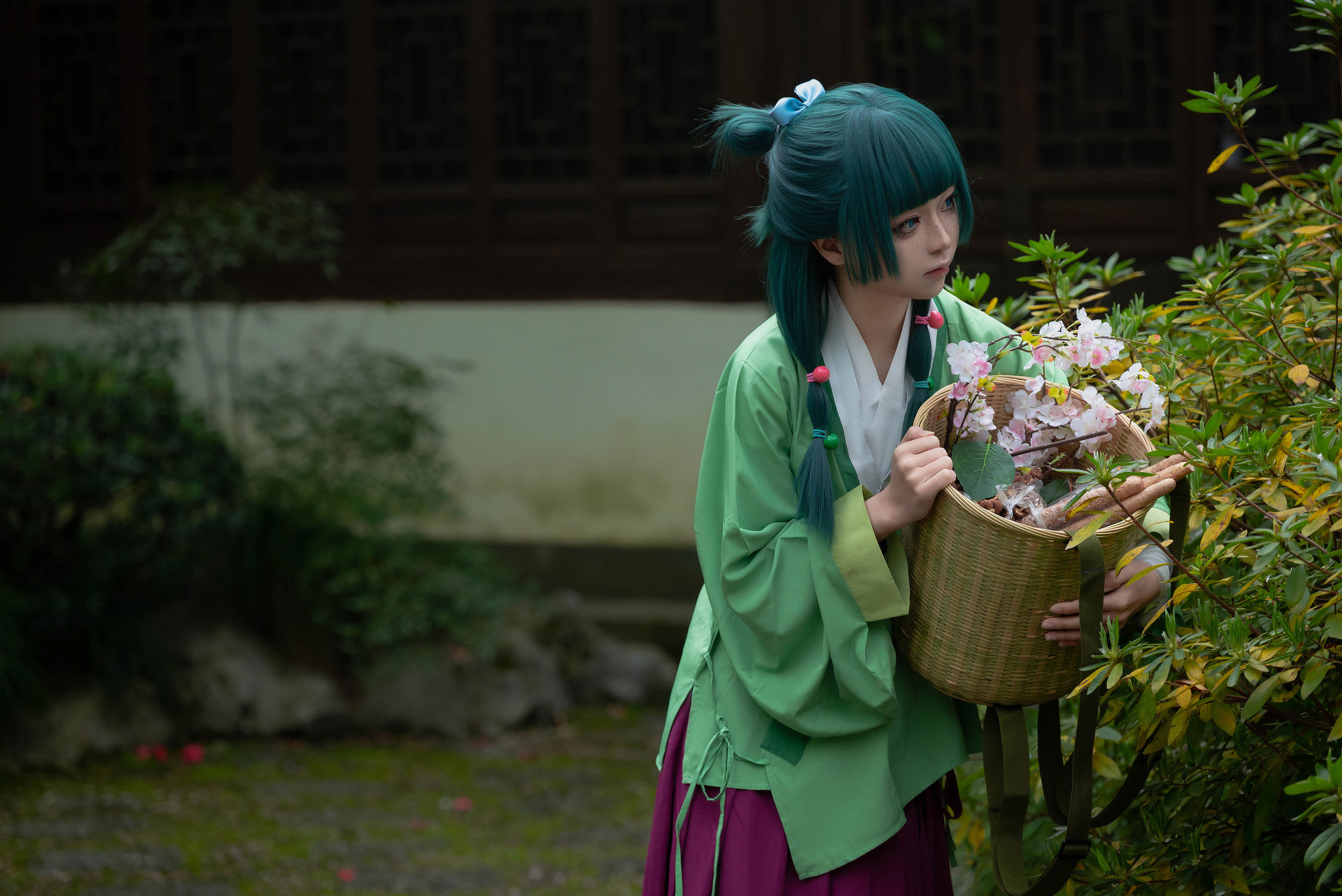 矢量鱼 - Maomao/(52P)