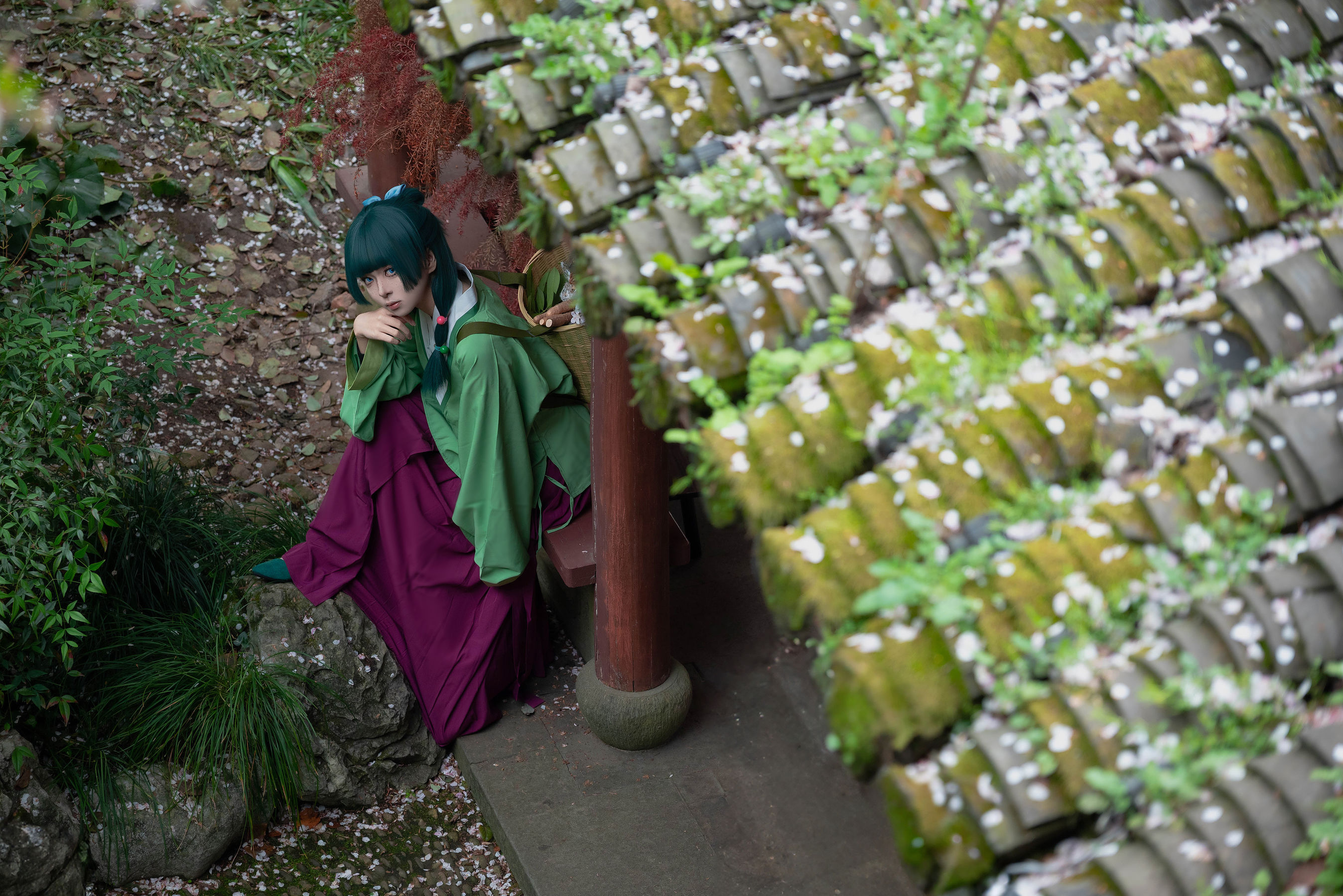 矢量鱼 - Maomao/(52P)