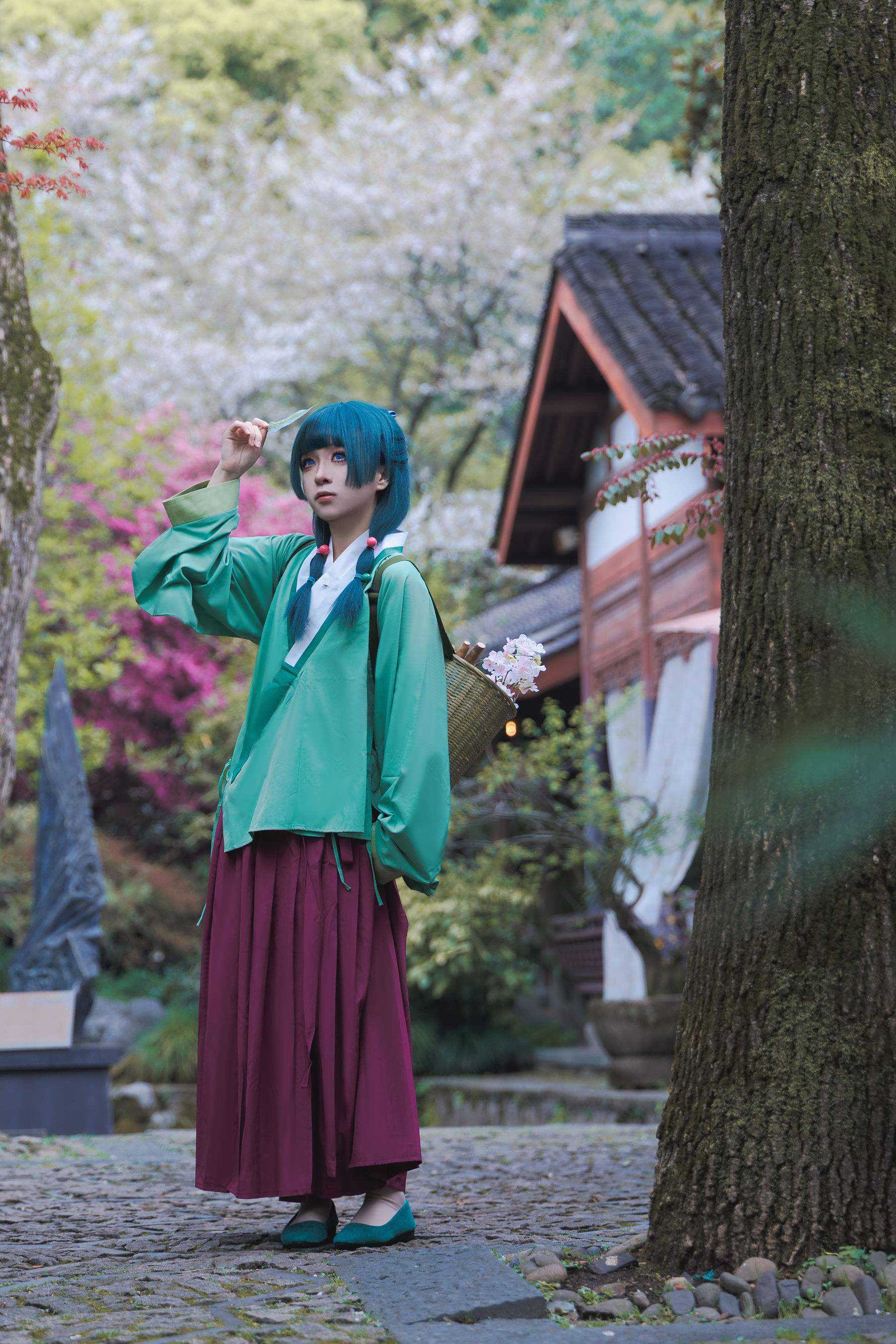 矢量鱼 - Maomao/(52P)