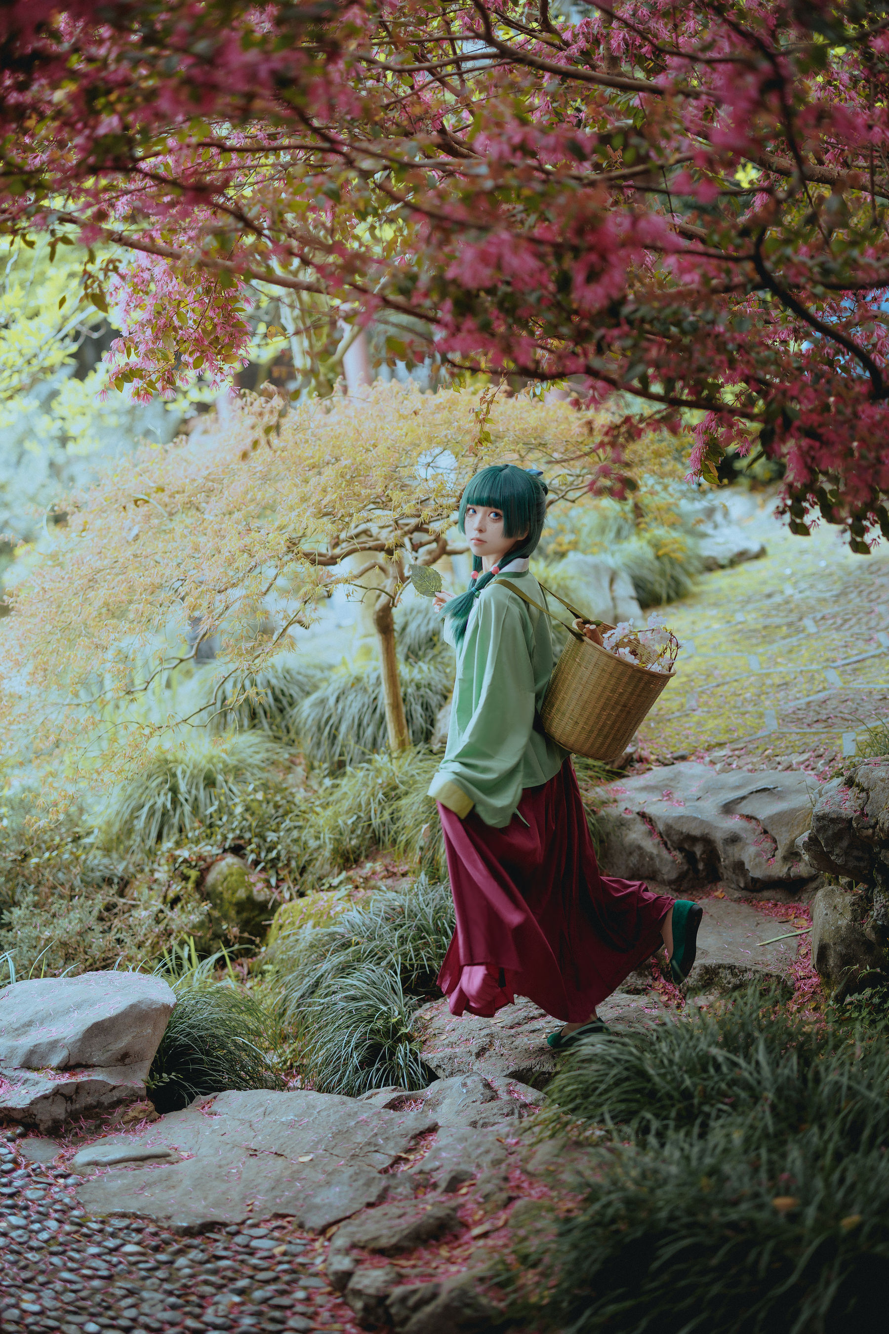 矢量鱼 - Maomao/(52P)