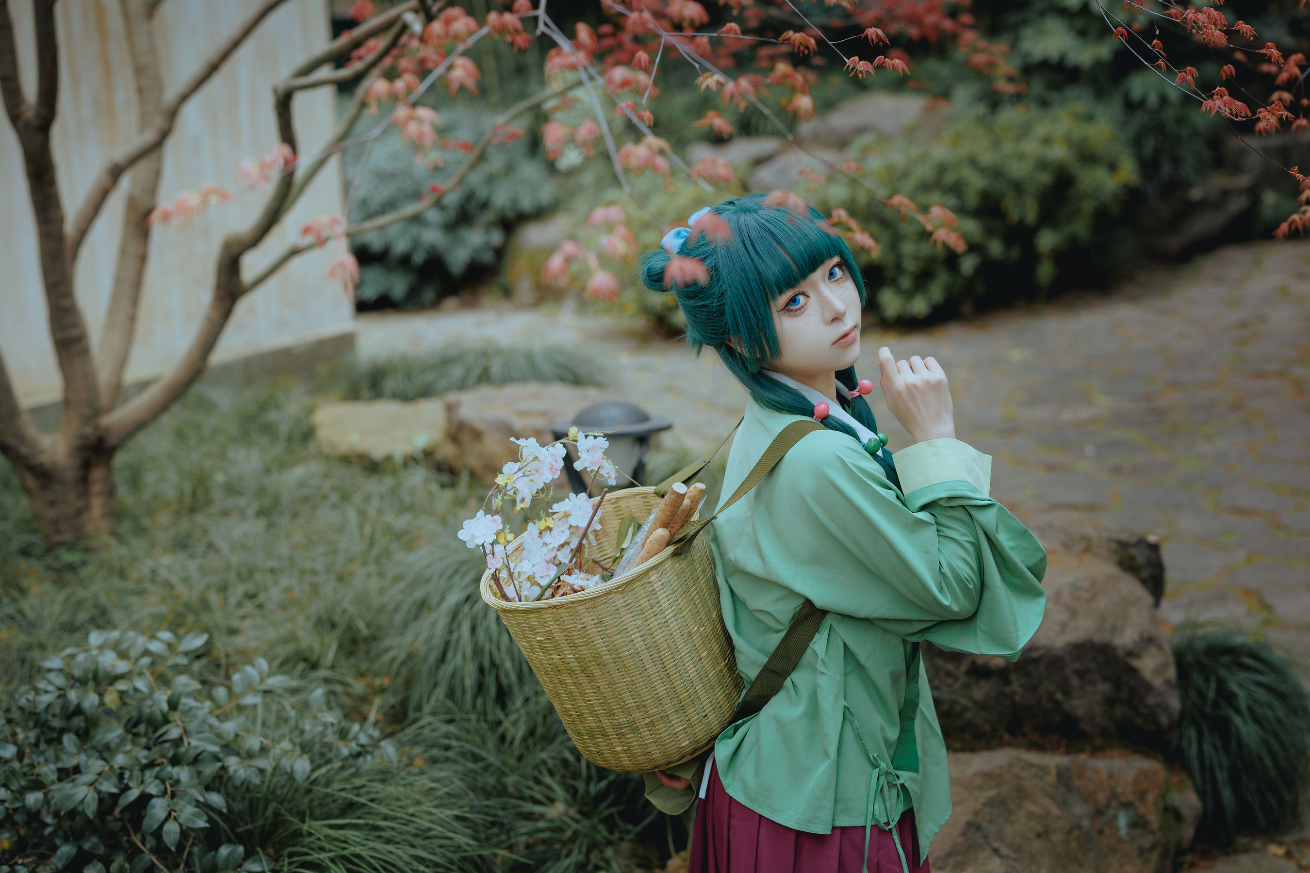 矢量鱼 - Maomao/(52P)