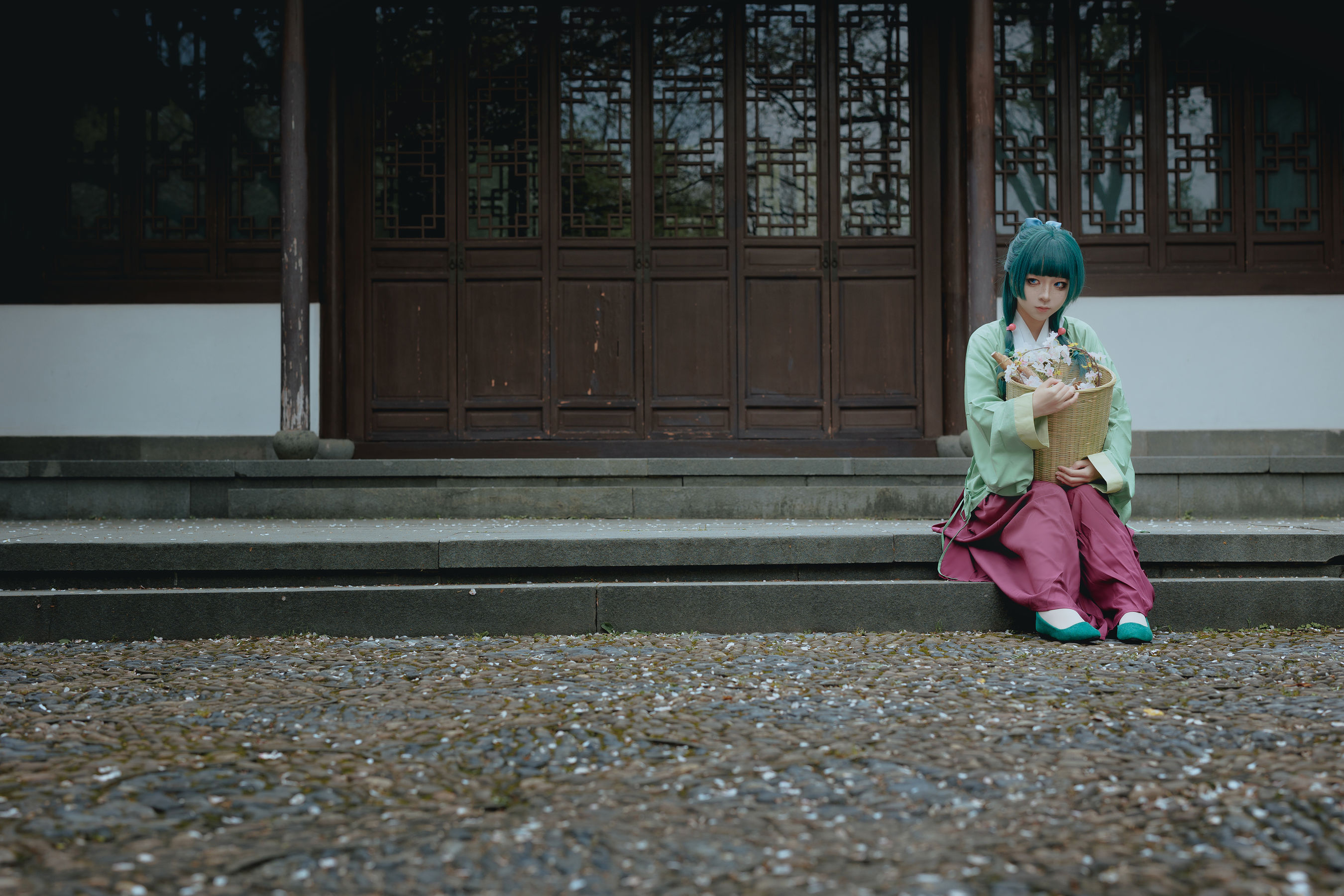 矢量鱼 - Maomao/(52P)