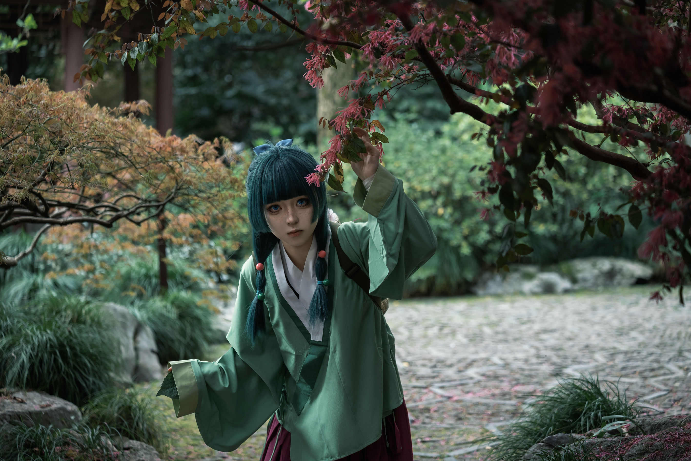 矢量鱼 - Maomao/(52P)