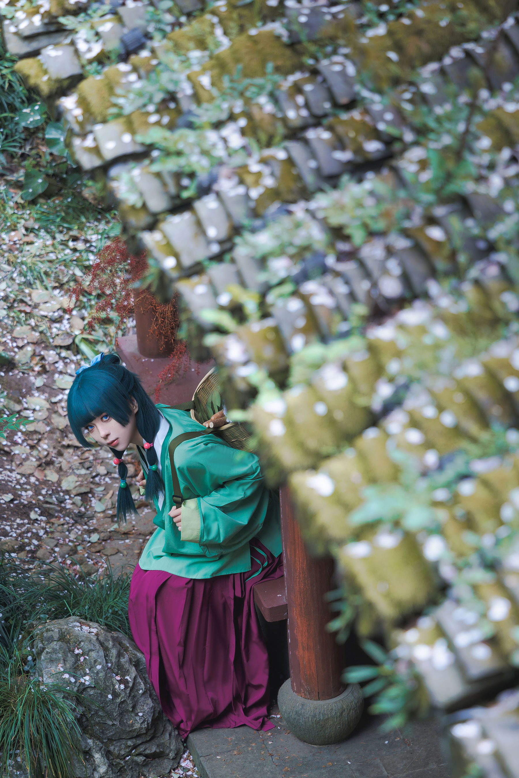 矢量鱼 - Maomao/(52P)