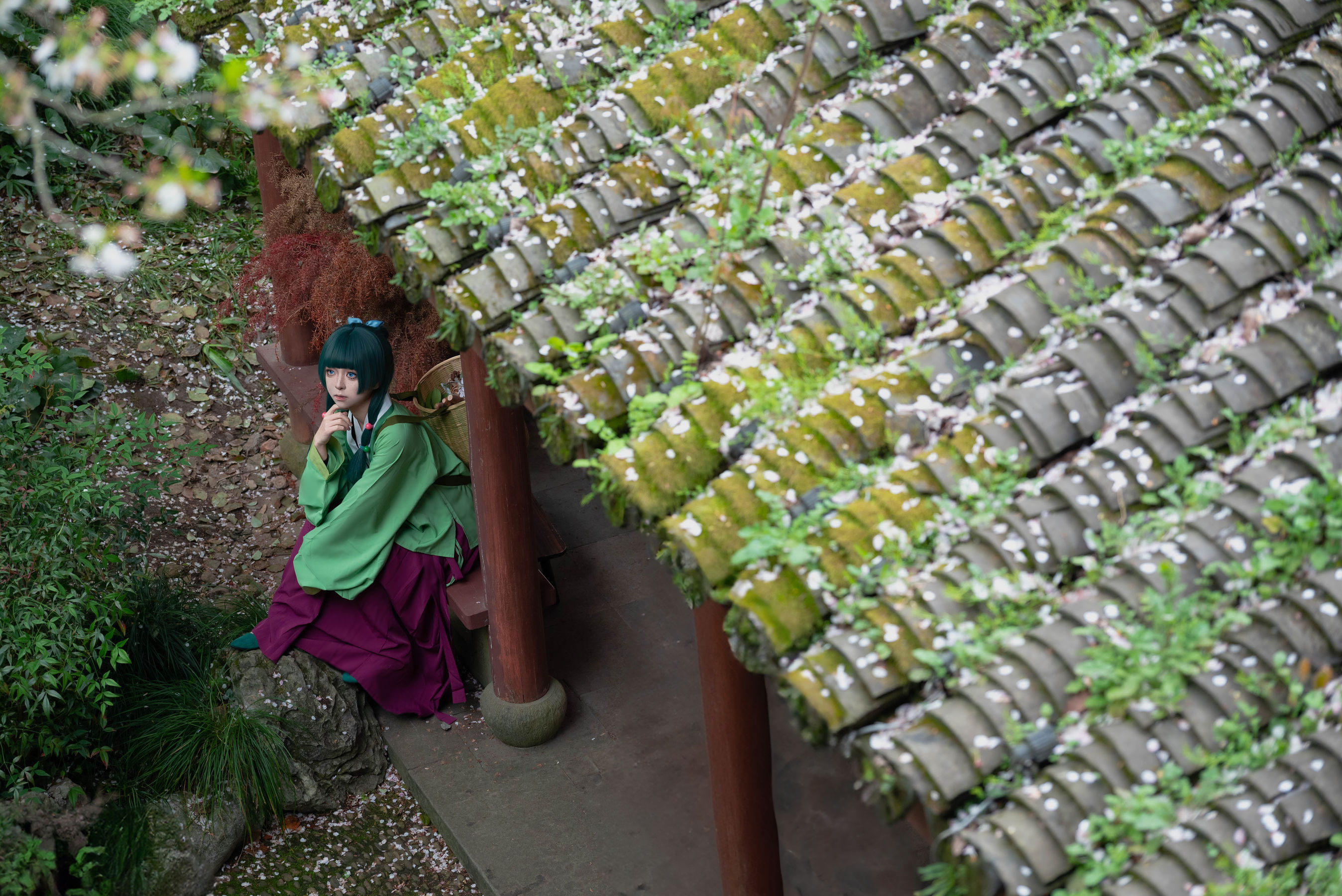 矢量鱼 - Maomao/(52P)