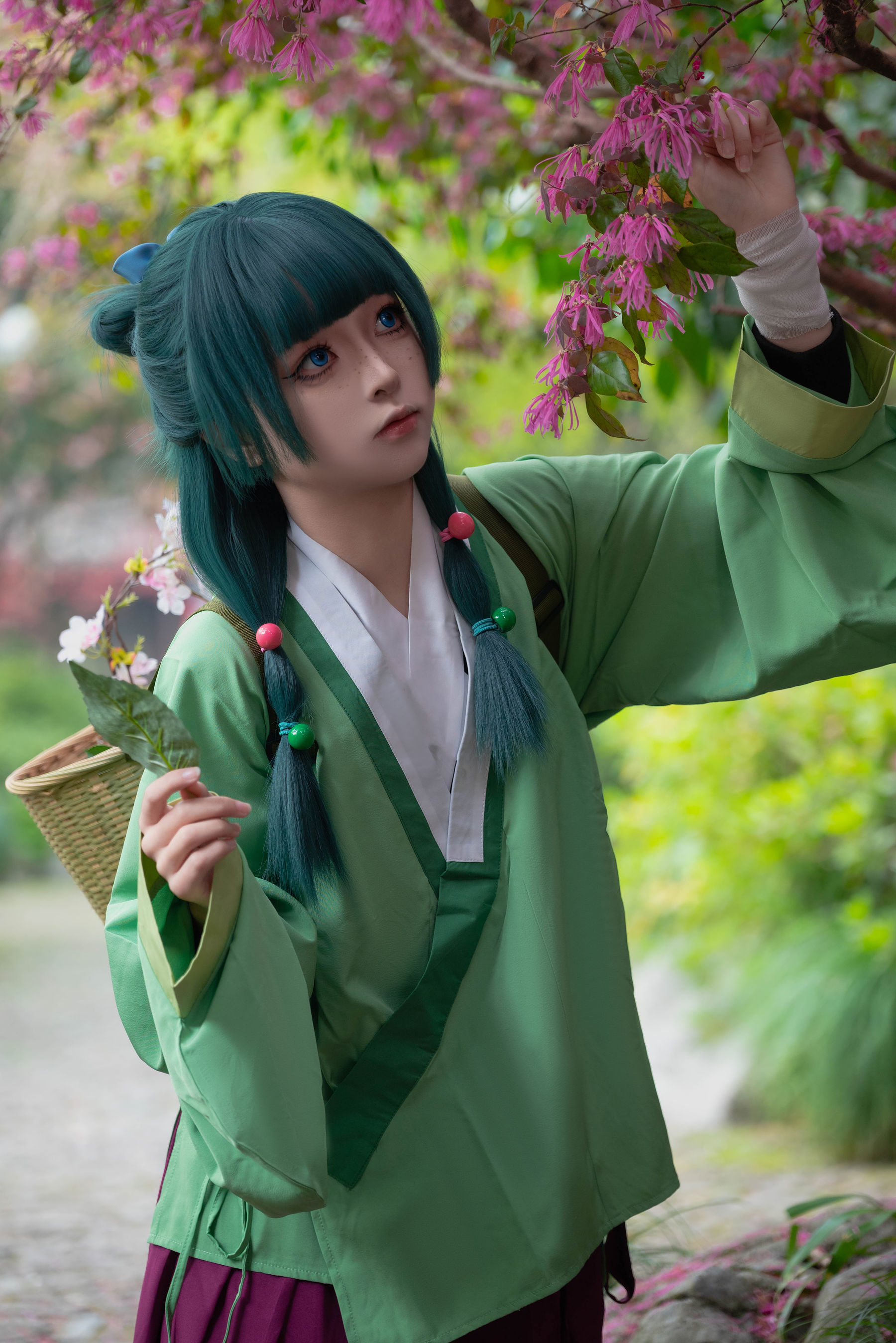 矢量鱼 - Maomao/(52P)