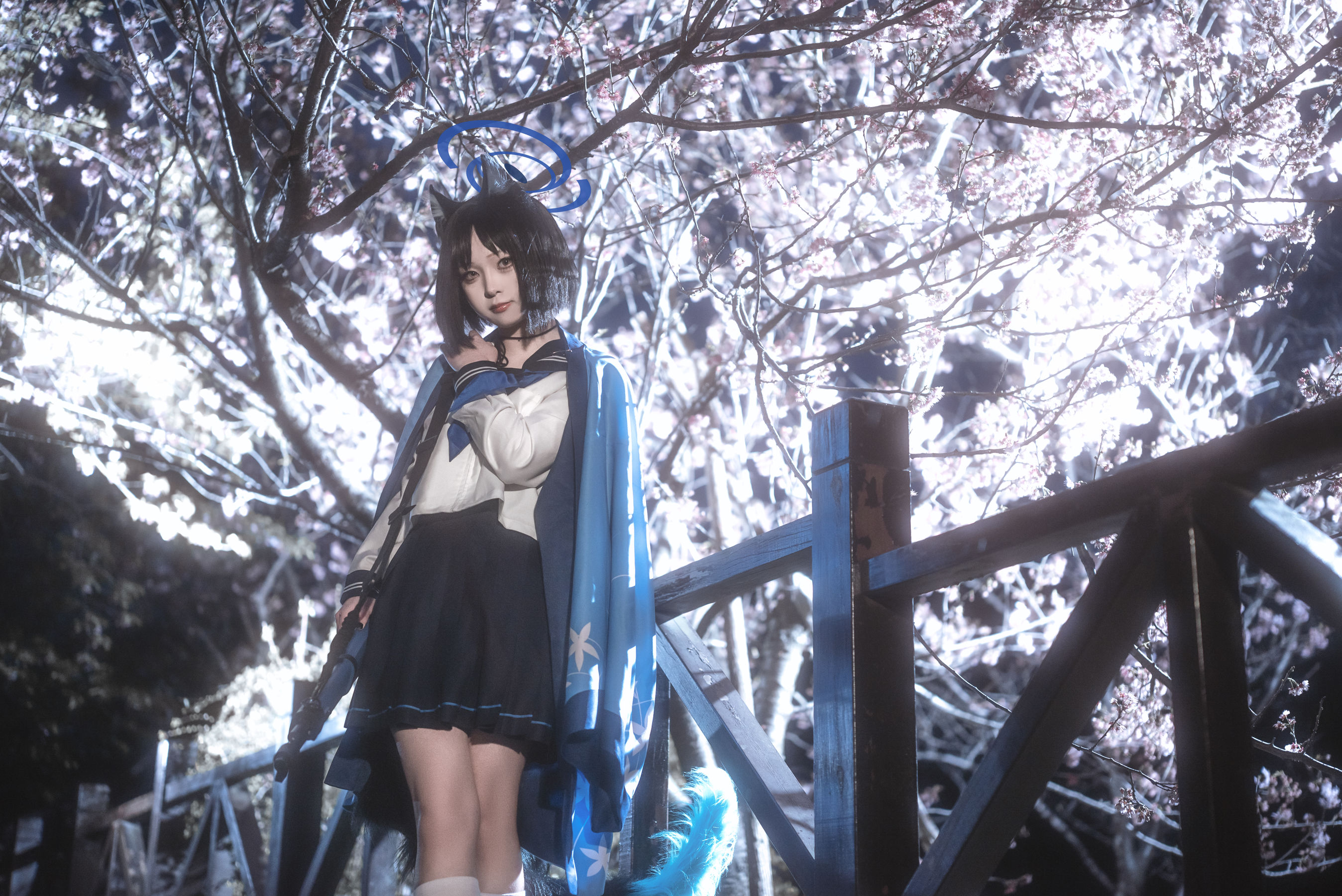 矢量鱼 - 桐生桔梗/(28P)